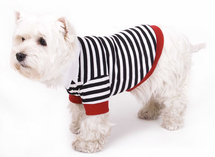 Hundepullover Hundepulli Sweatshirt Pulli Uniform Verkleidung Kostüm