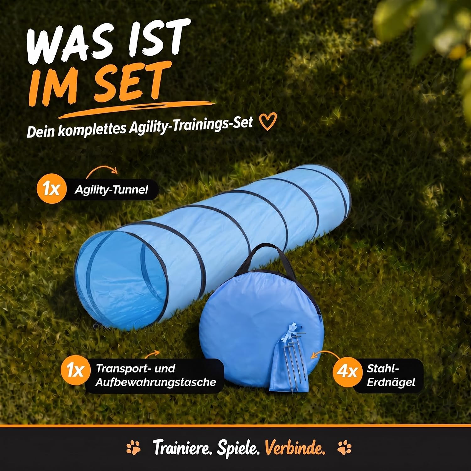 Agility Hundetunnel 200cm - Robuster & Faltbarer Spieltunnel für Hunde