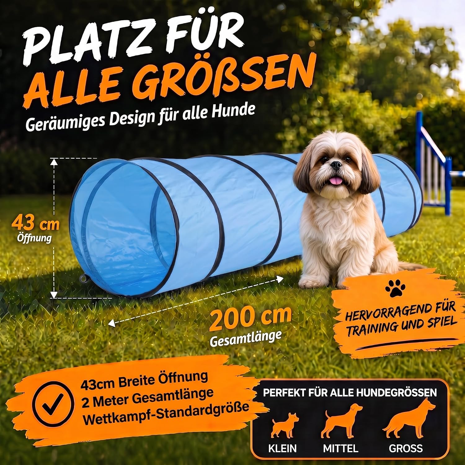 Agility Hundetunnel 200cm - Robuster & Faltbarer Spieltunnel für Hunde