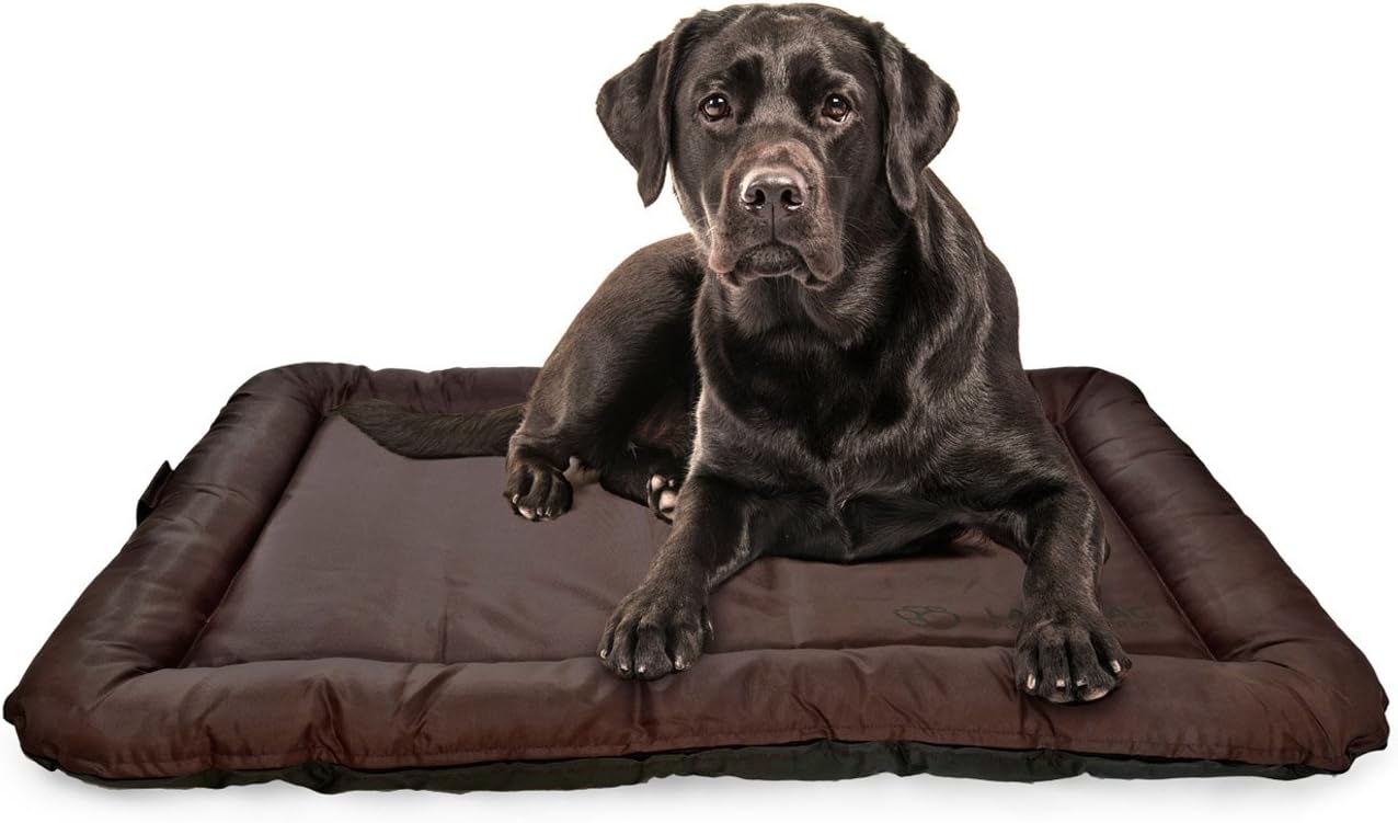 LazyBag Hundebett - Wasserfestes & Robustes Hundekissen für Hunde