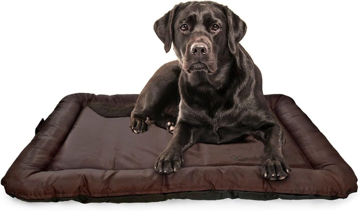 LazyBag Hundebett - Wasserfestes & Robustes Hundekissen für Hunde