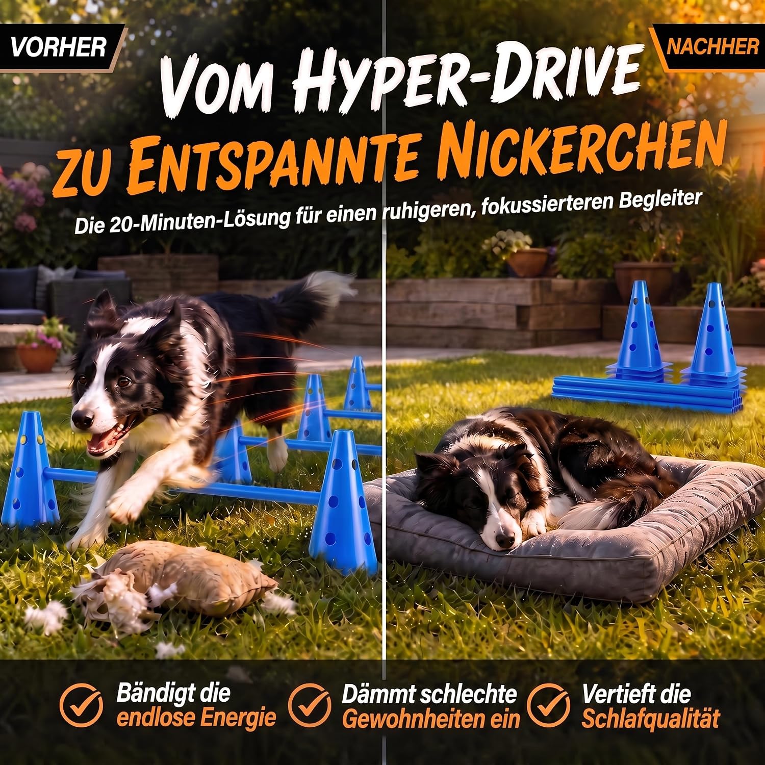 Hunde Agility Tunnel Set 500 cm - Spieltunnel mit Hürden