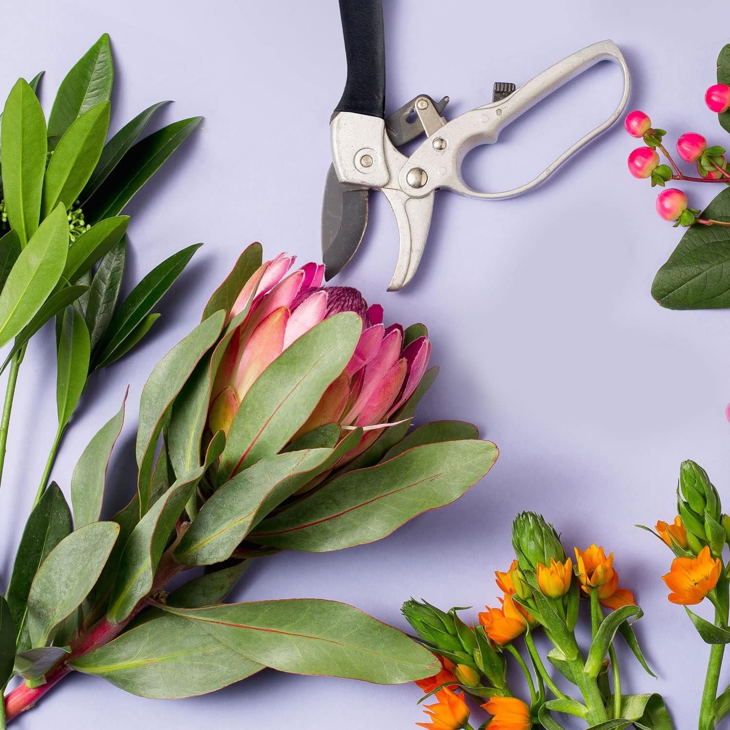 Professionelle Bypass-Gartenschere aus Edelstahl – Präzise Rosenschere