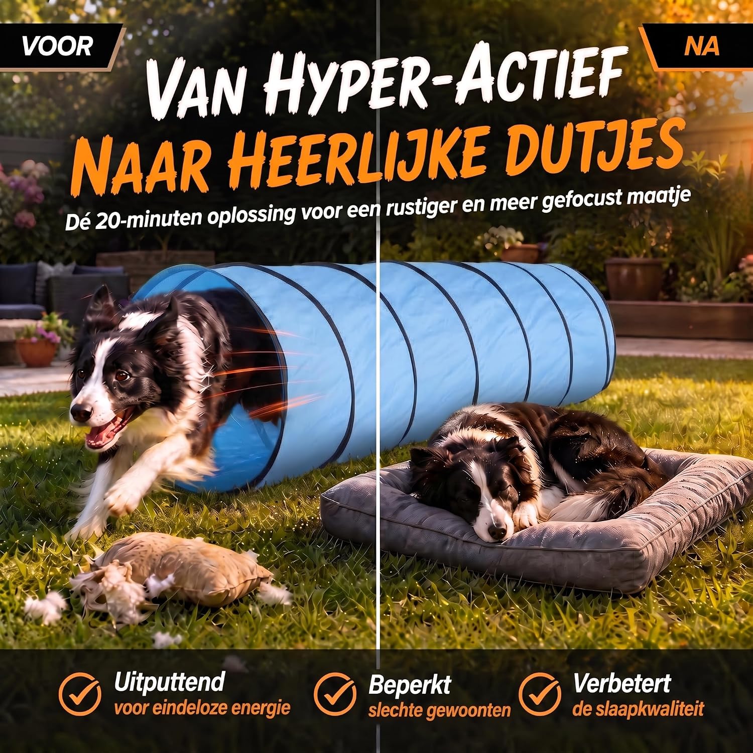 Hundetunnel Agility 300 cm - Faltbar & Robust - Inkl. Zubehör