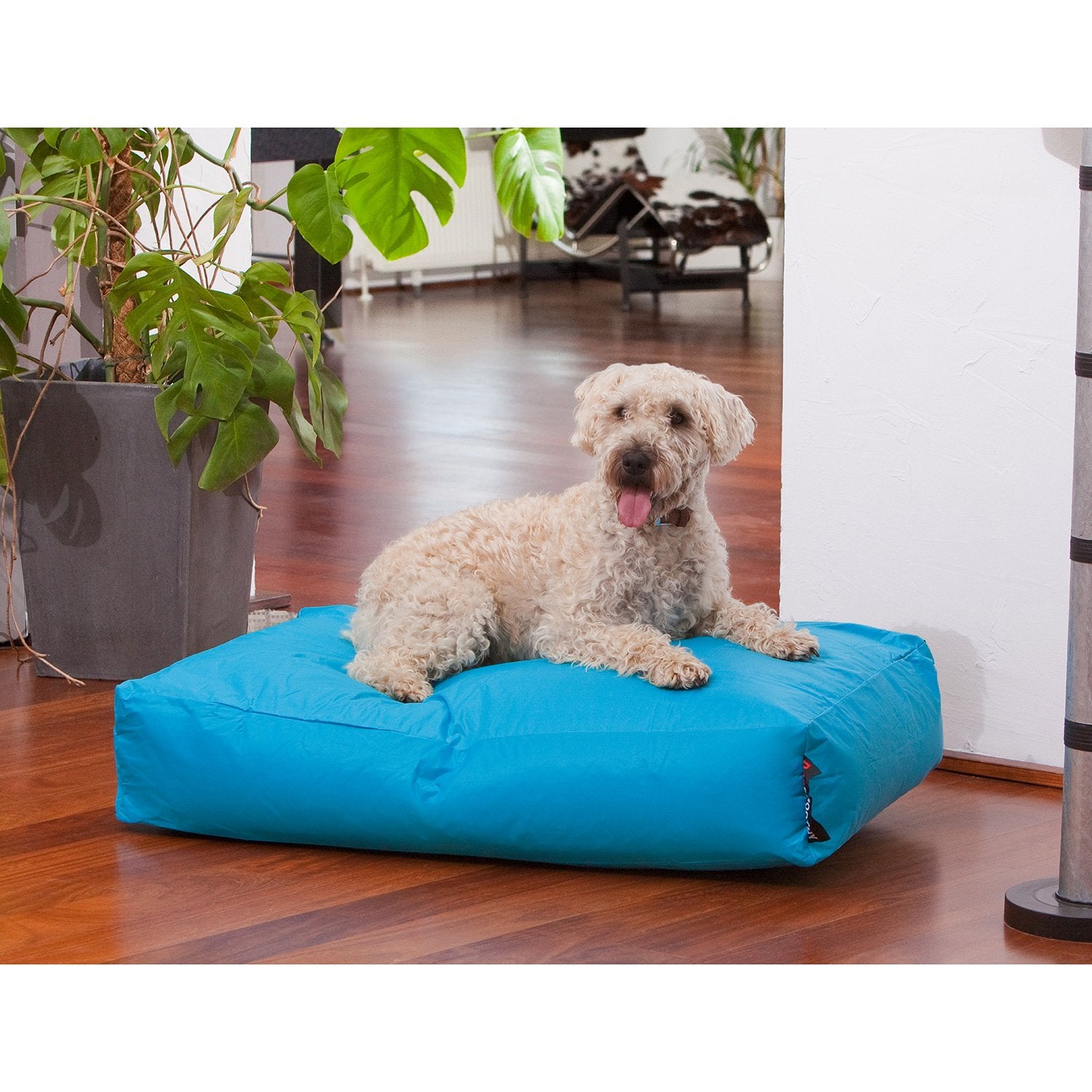 Smoothy-Hundekorb-Classic-Blau