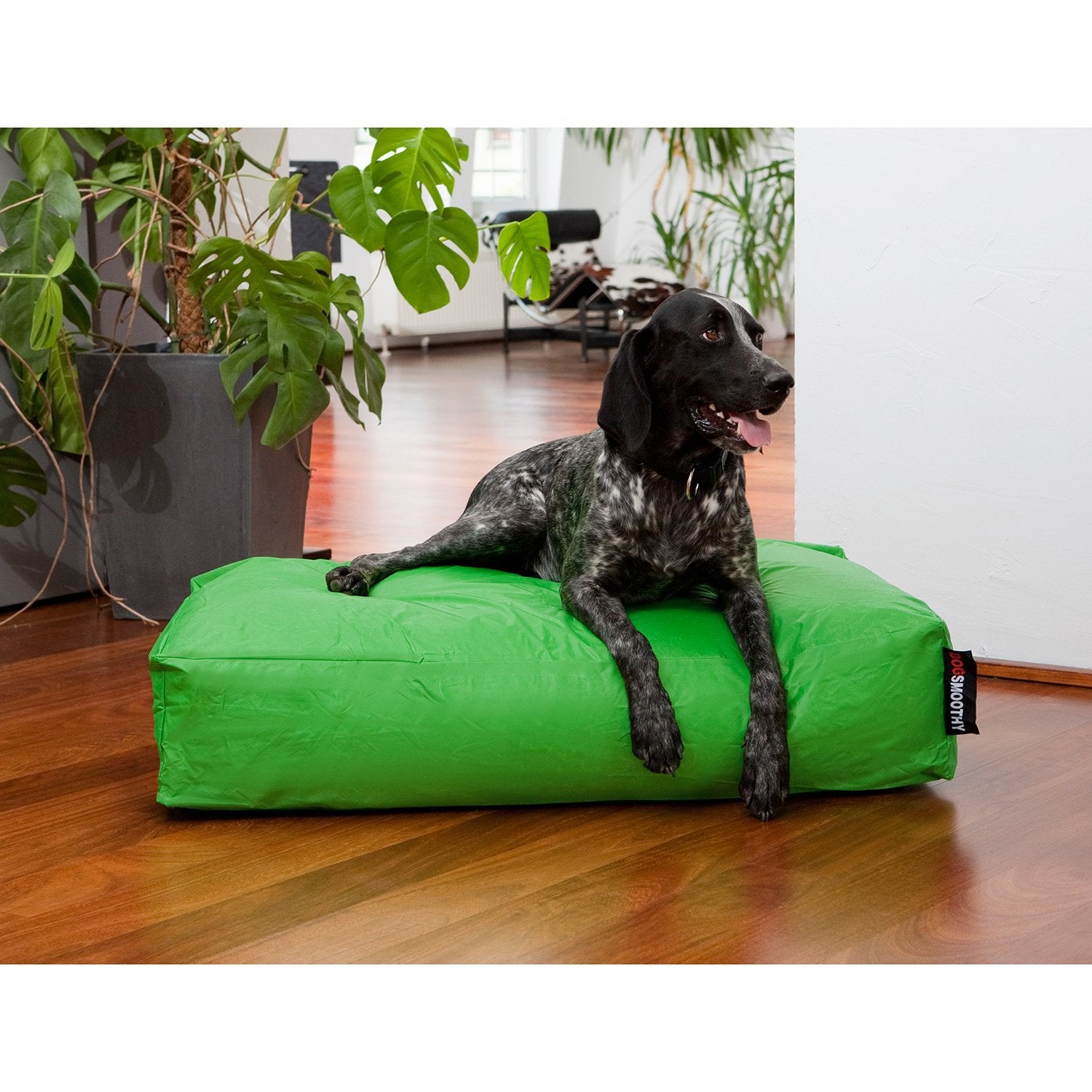 Smoothy-Hundekorb-Classic-Gruen