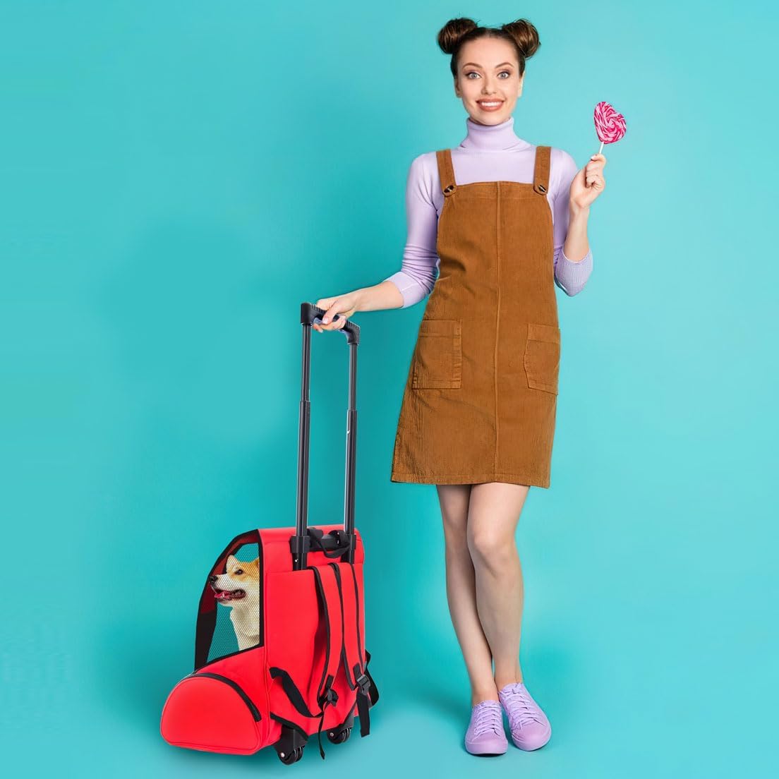 Hunde-Trolley & Haustier-Rucksack für Reisen – Stabil & Kompakt
