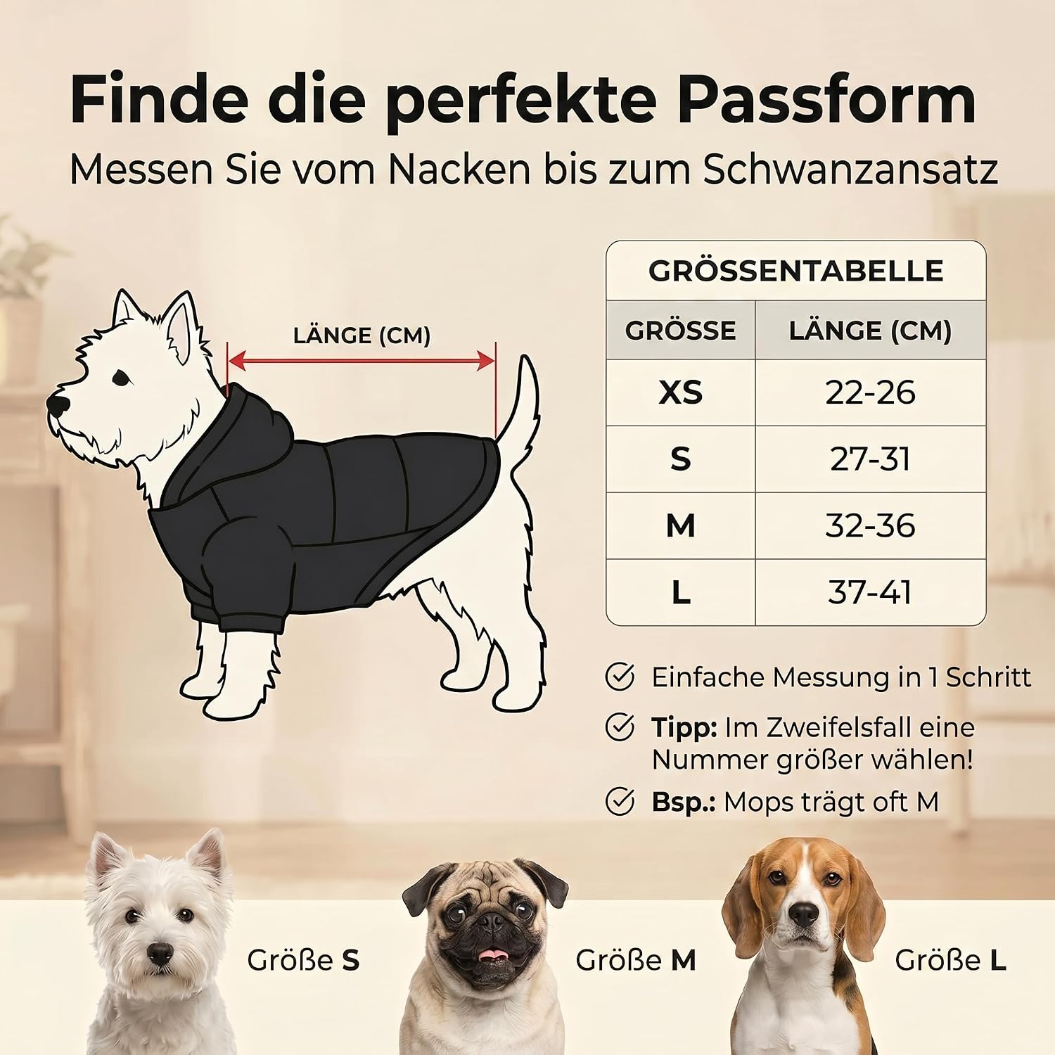 Warmer Hundemantel mit Kapuze – Hundejacke für kleine Hunde