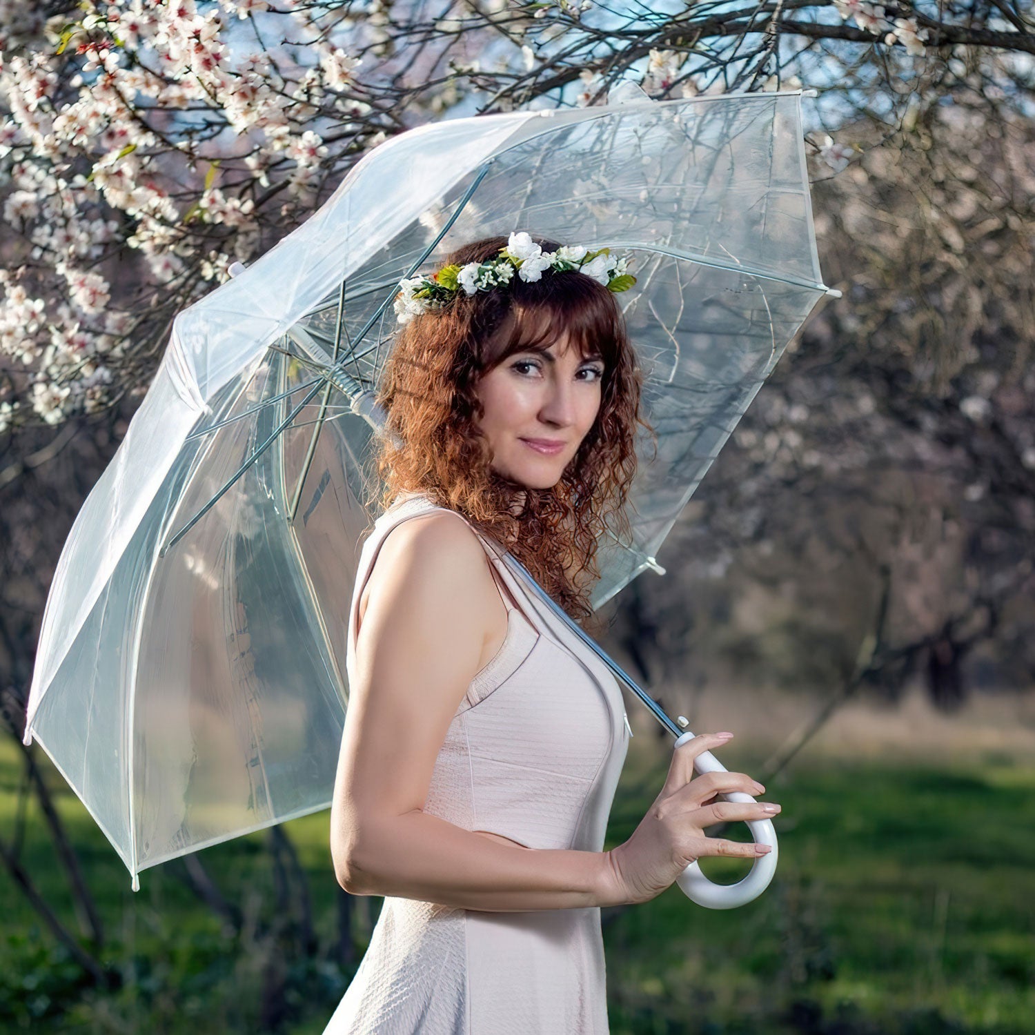 Transparenter Regenschirm - eleganter & durchsichtiger Stockschirm