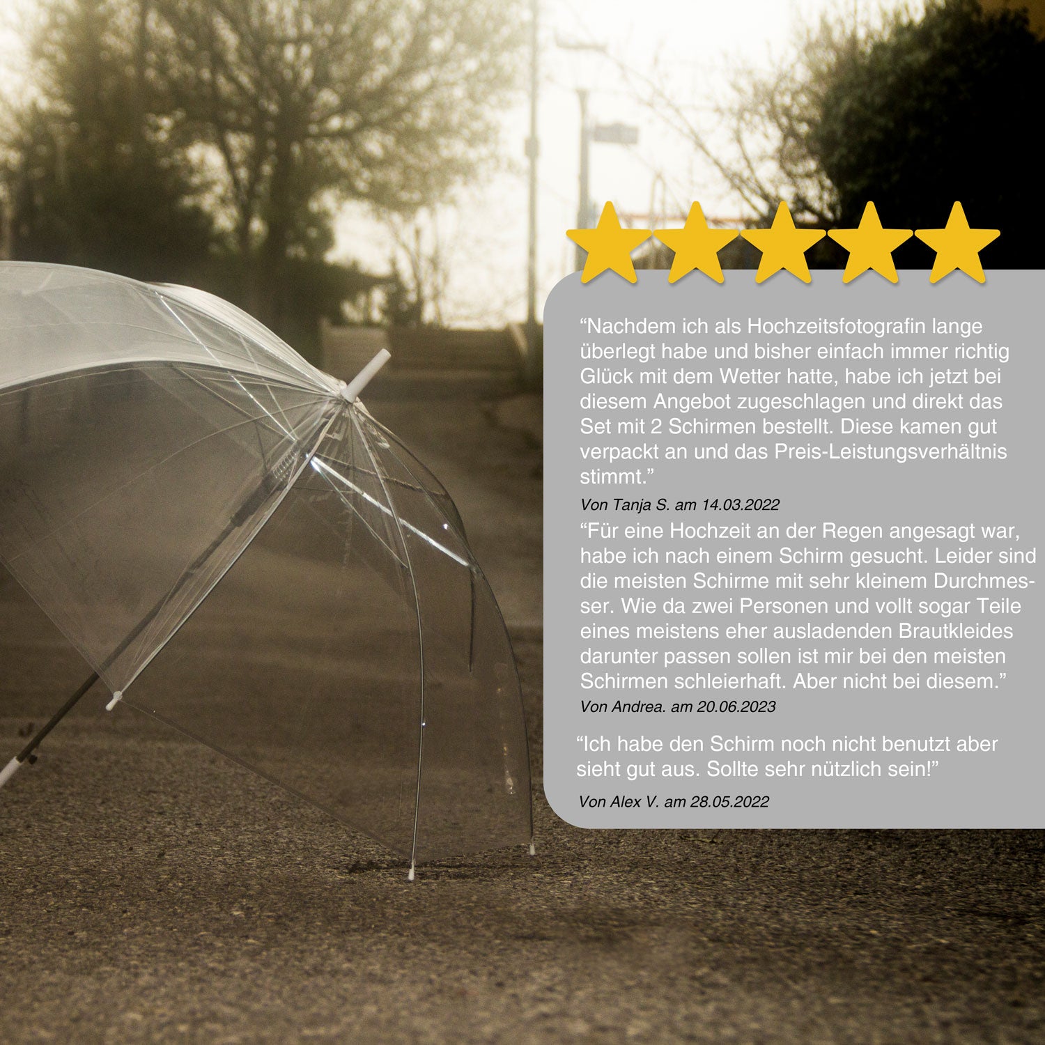 Transparenter Regenschirm - eleganter & durchsichtiger Stockschirm
