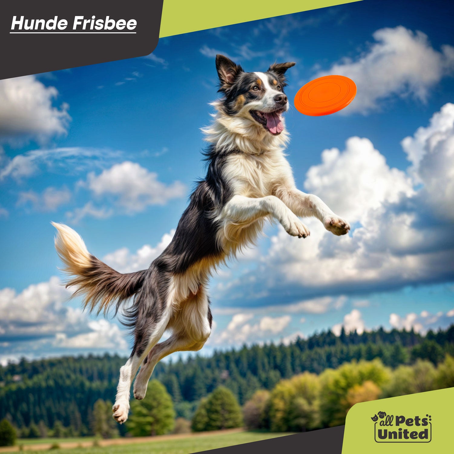 Hunde Frisbee Wurfscheibe Agility Trainingszubehör