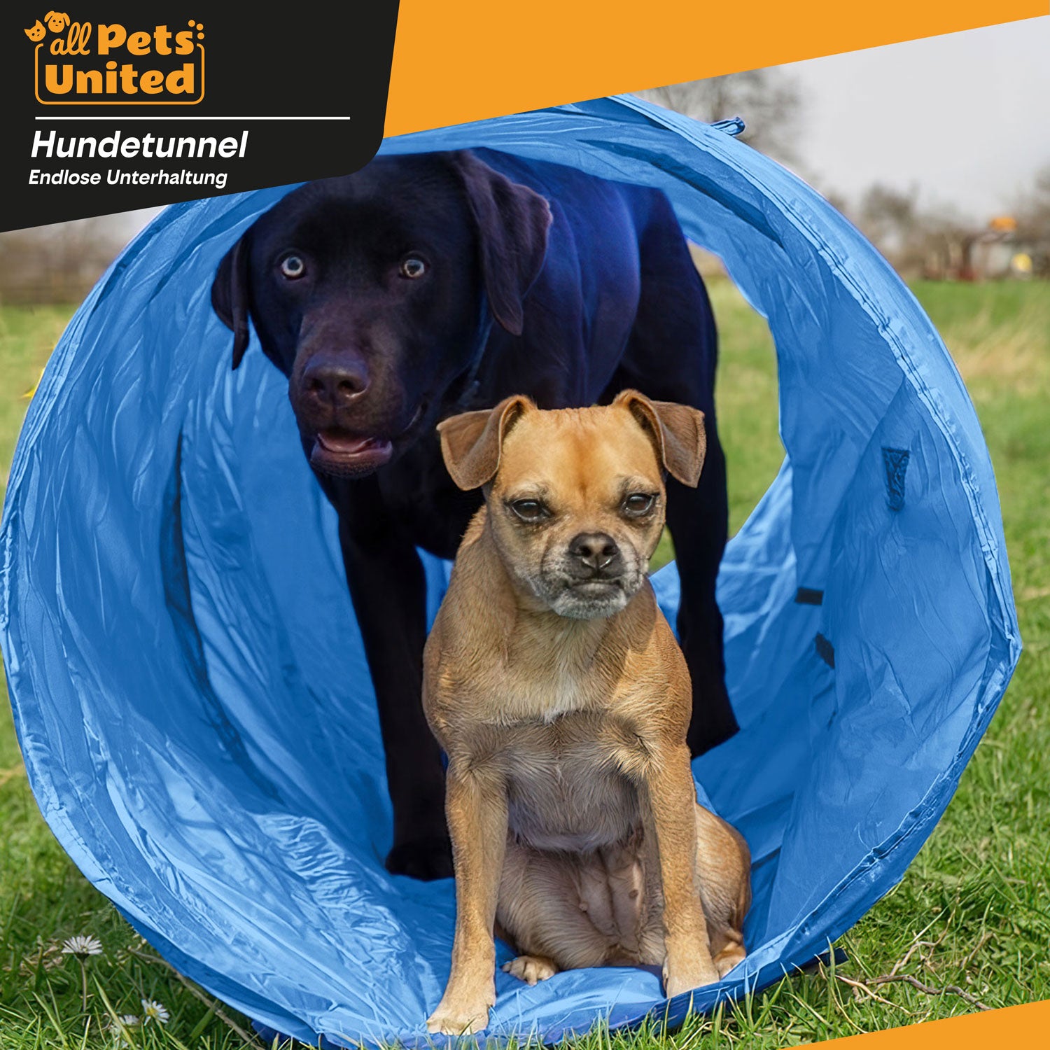 Agility Hundetunnel Set, inkl. Frisbee und Hürden für Spiel und Training
