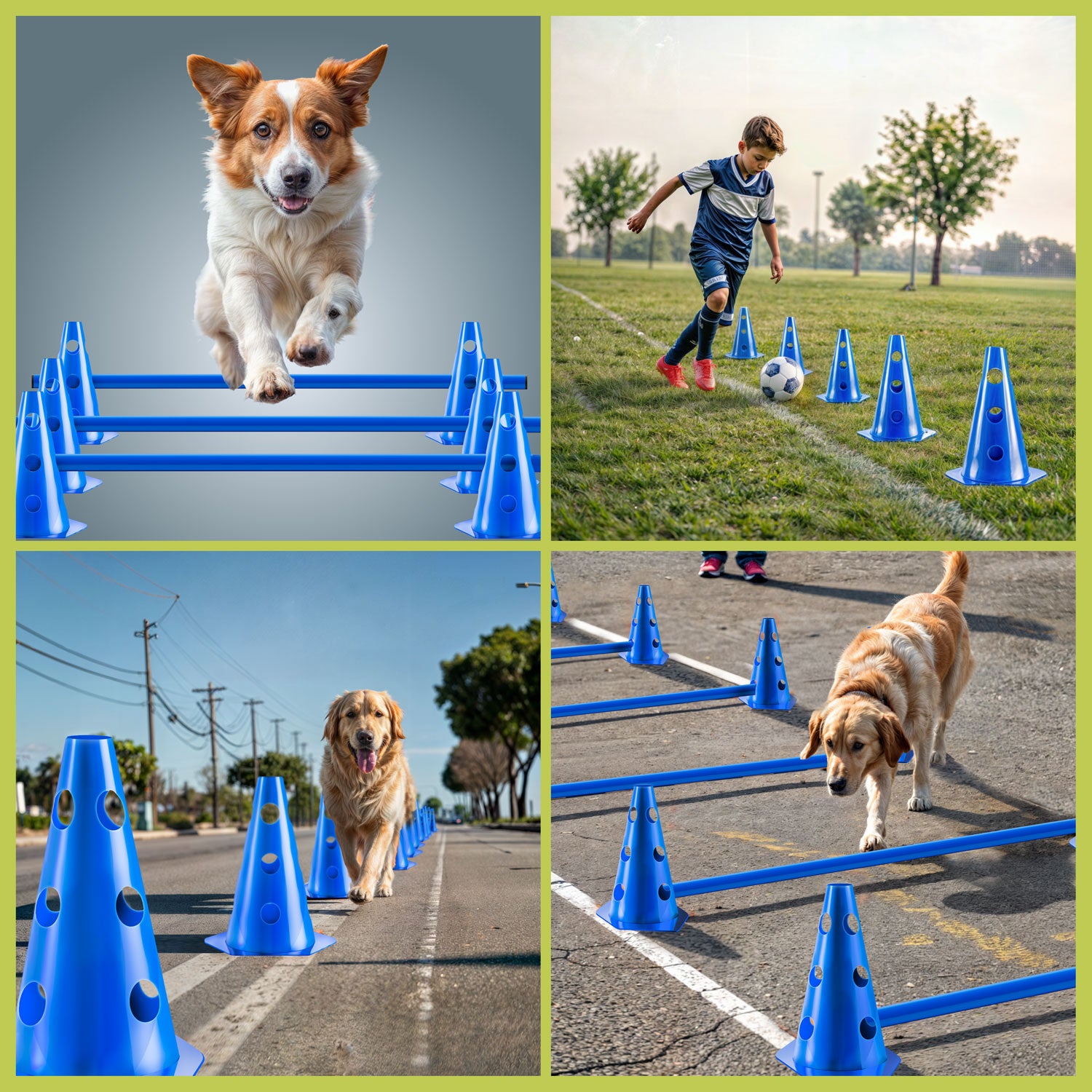 Steckhürden Set für Hunde; Agility Trainingszubehör für Hunde & Pferde