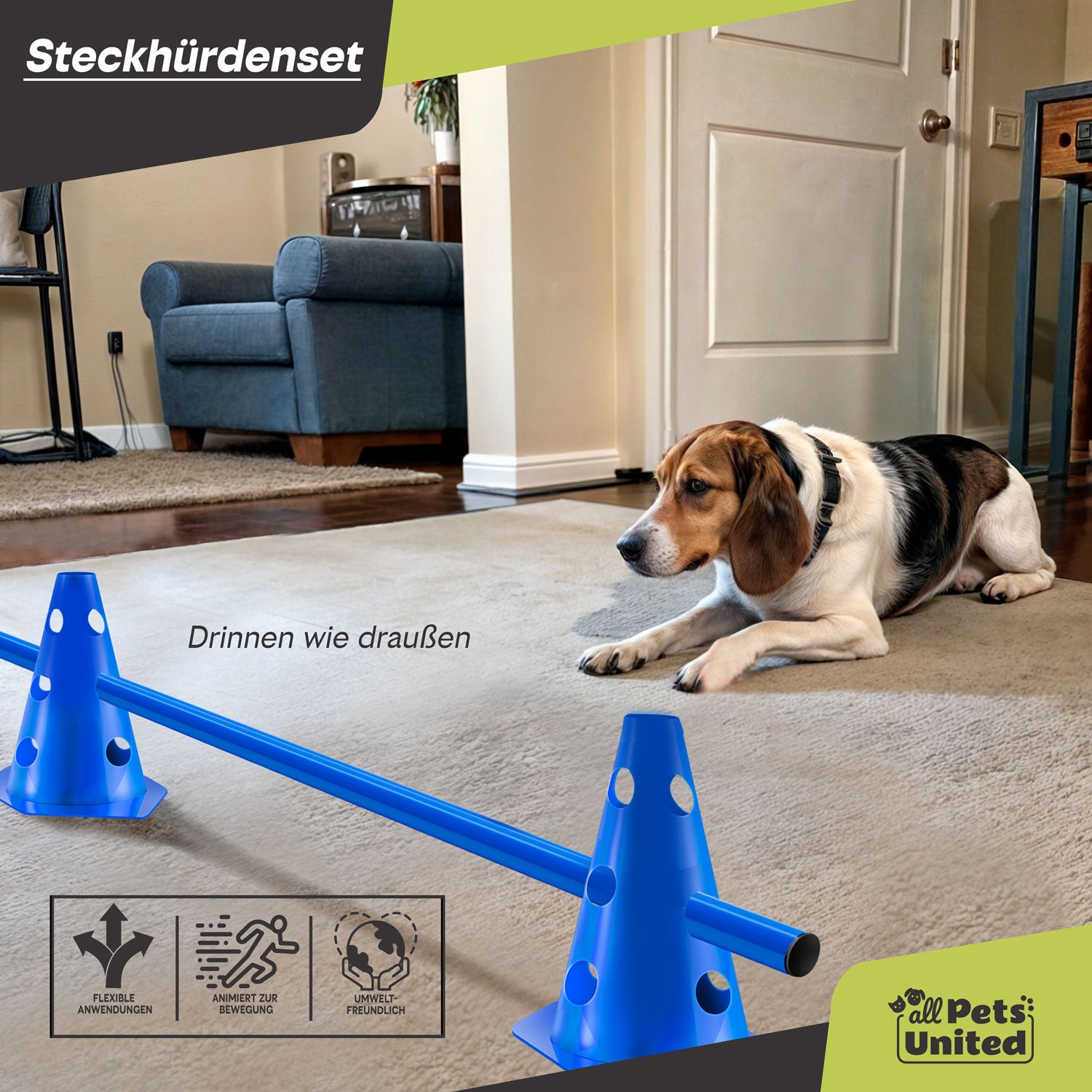 Steckhürden Set für Hunde; Agility Trainingszubehör für Hunde & Pferde