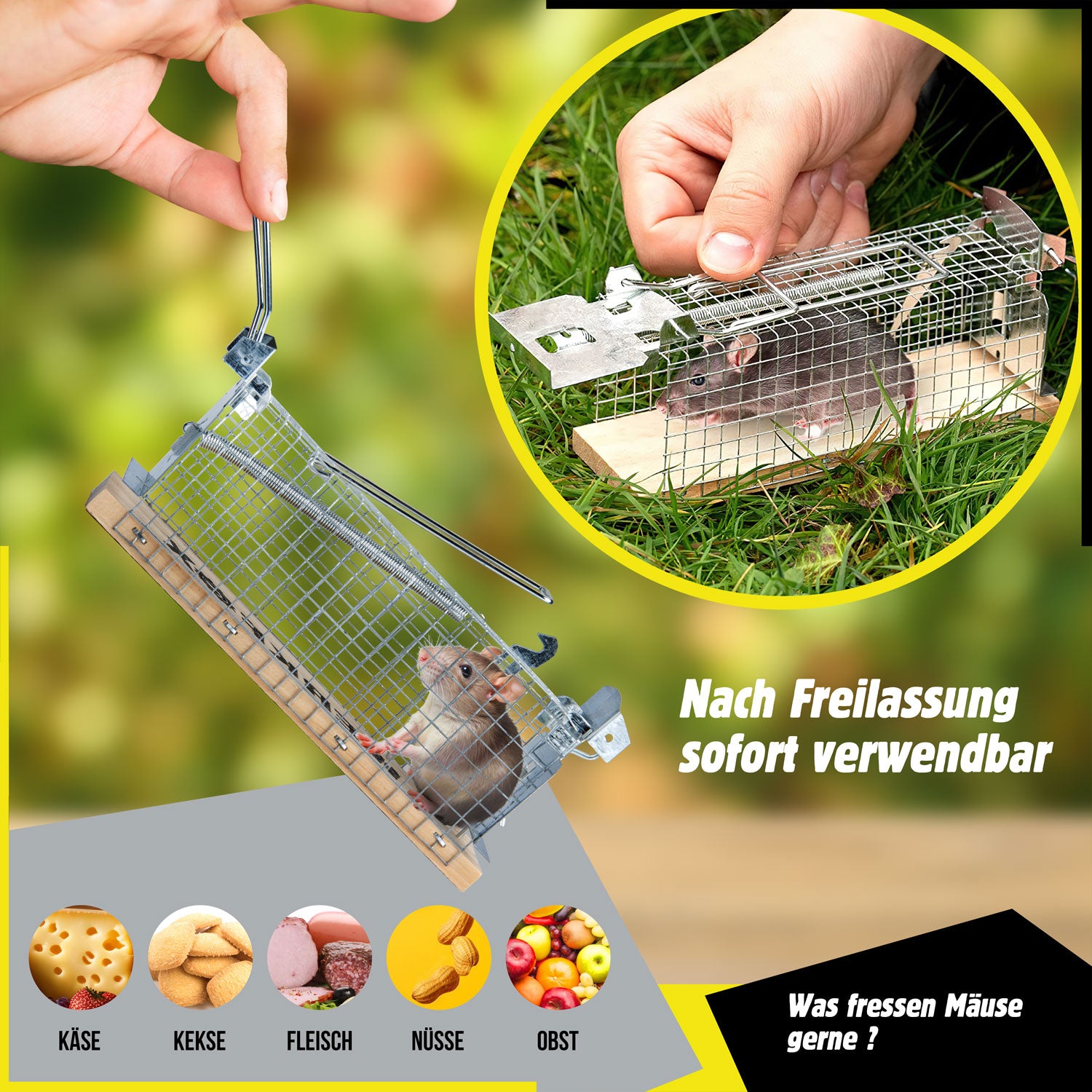 bild7CXy7mz1Krxxsp