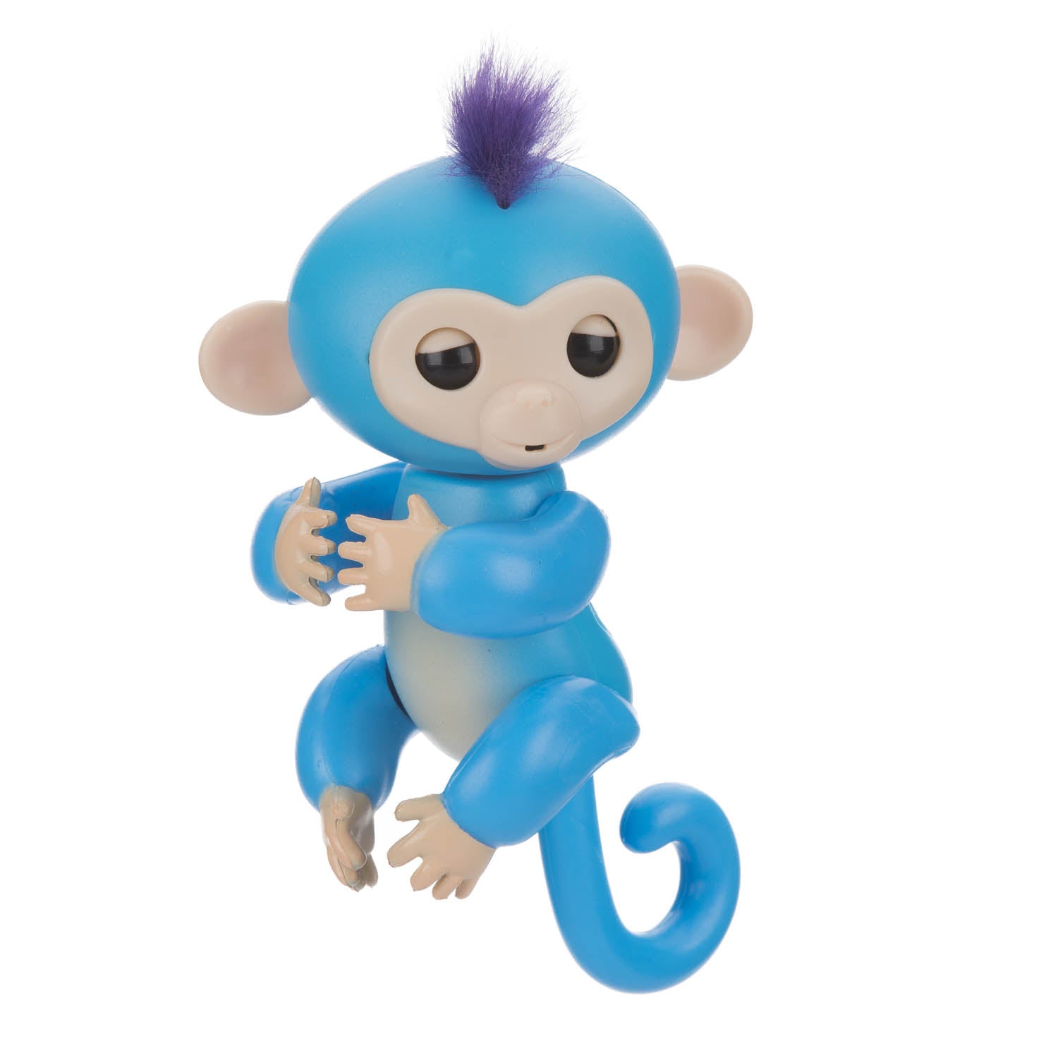 blauer-finger-monkey