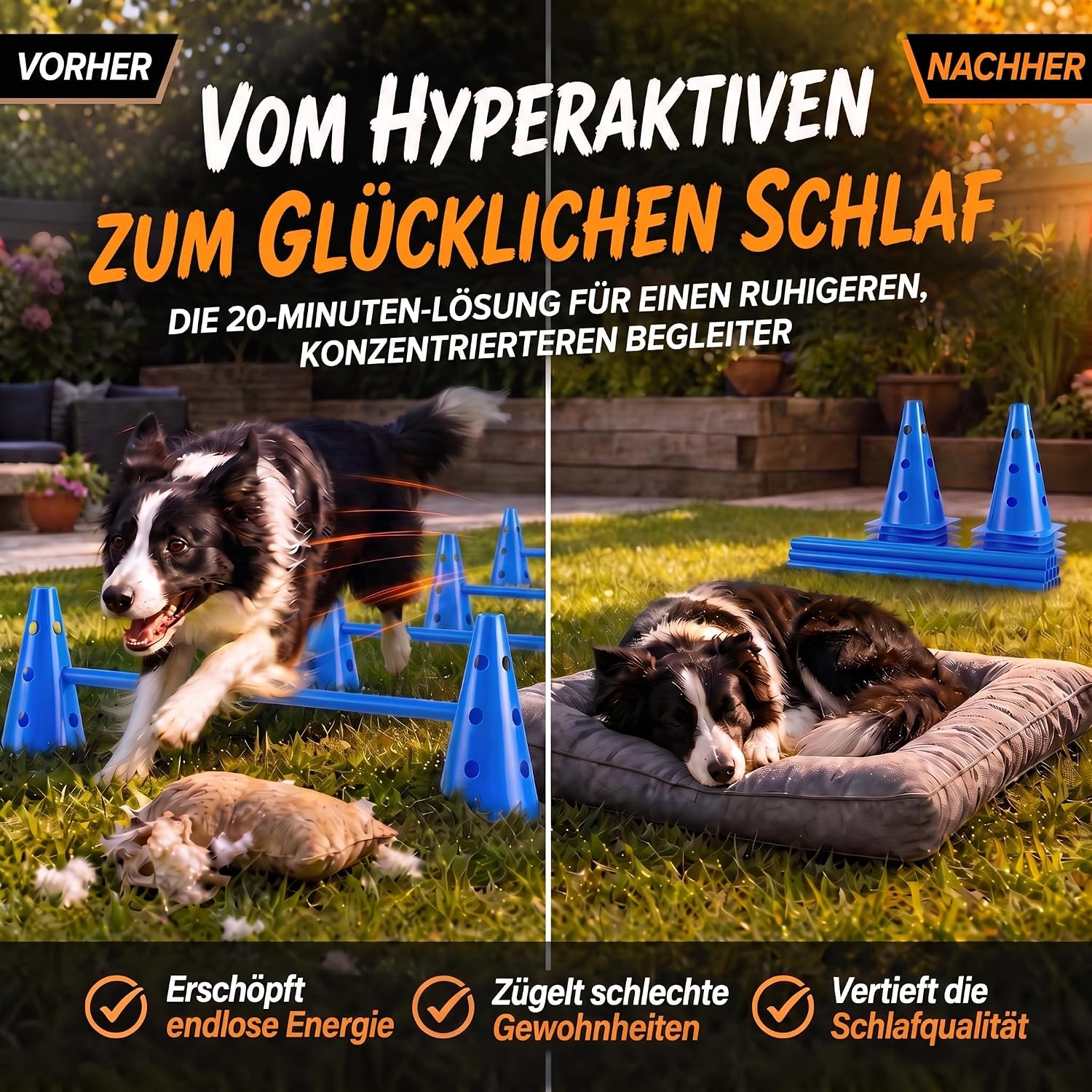 Hunde Agility Tunnel Set 500 cm - Spieltunnel mit Hürden