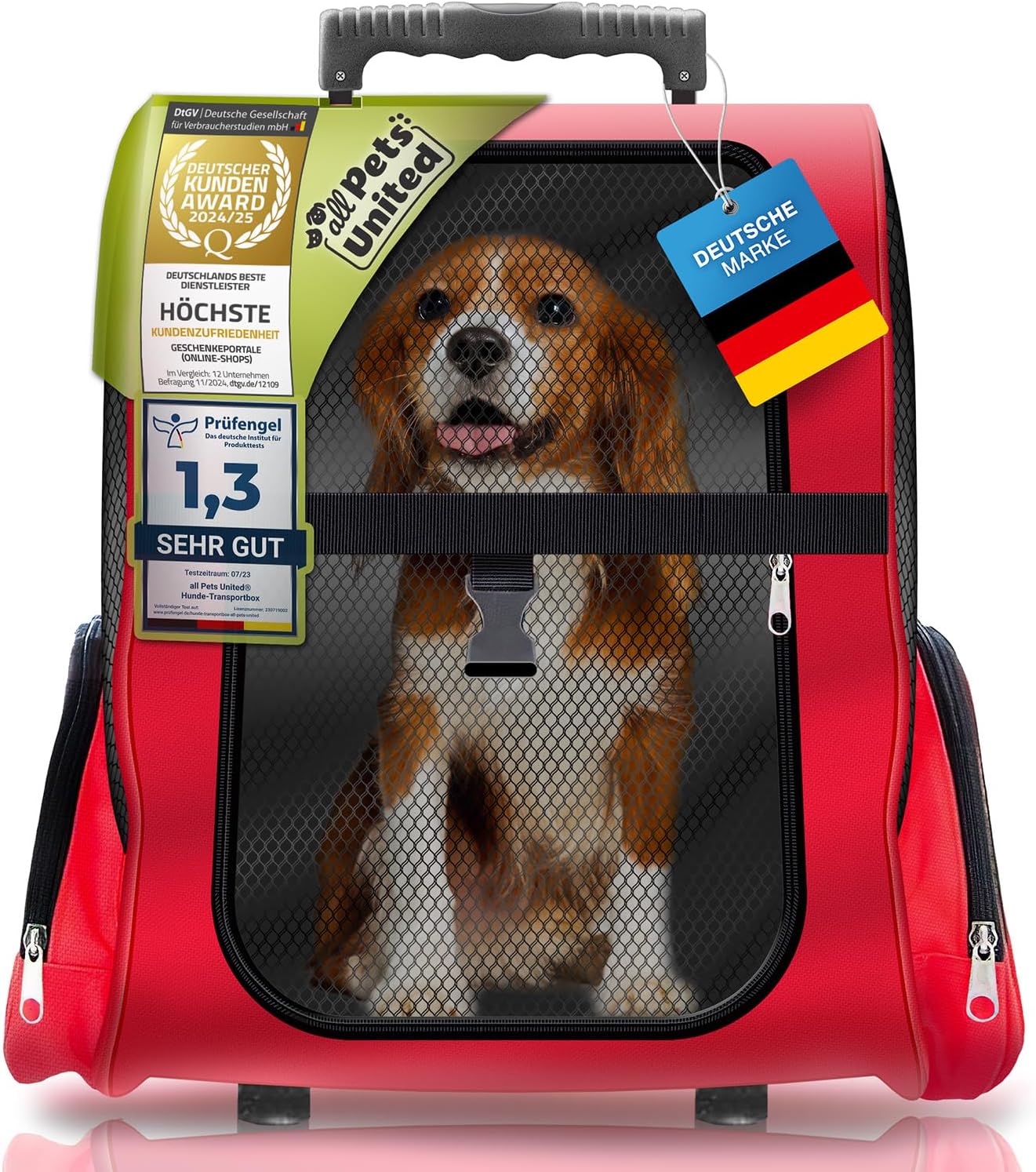 Hunde-Trolley & Haustier-Rucksack für Reisen – Stabil & Kompakt
