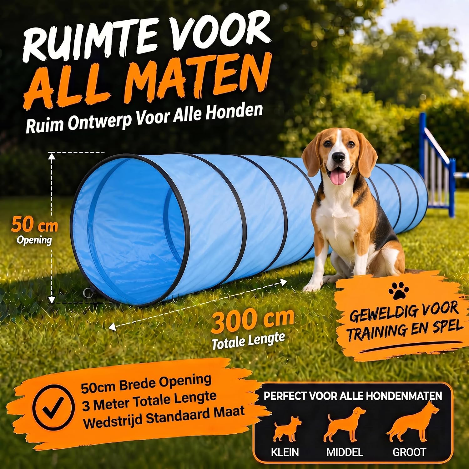 Hundetunnel Agility 300 cm - Faltbar & Robust - Inkl. Zubehör