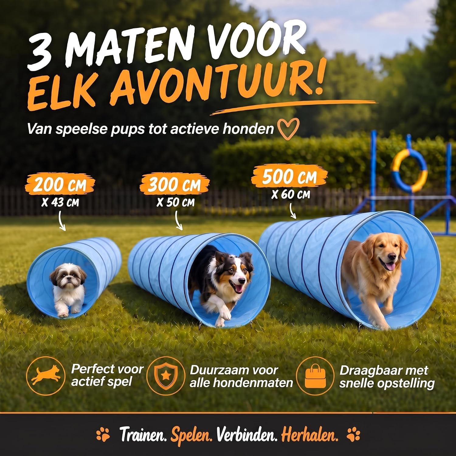 Hundetunnel Agility 300 cm - Faltbar & Robust - Inkl. Zubehör