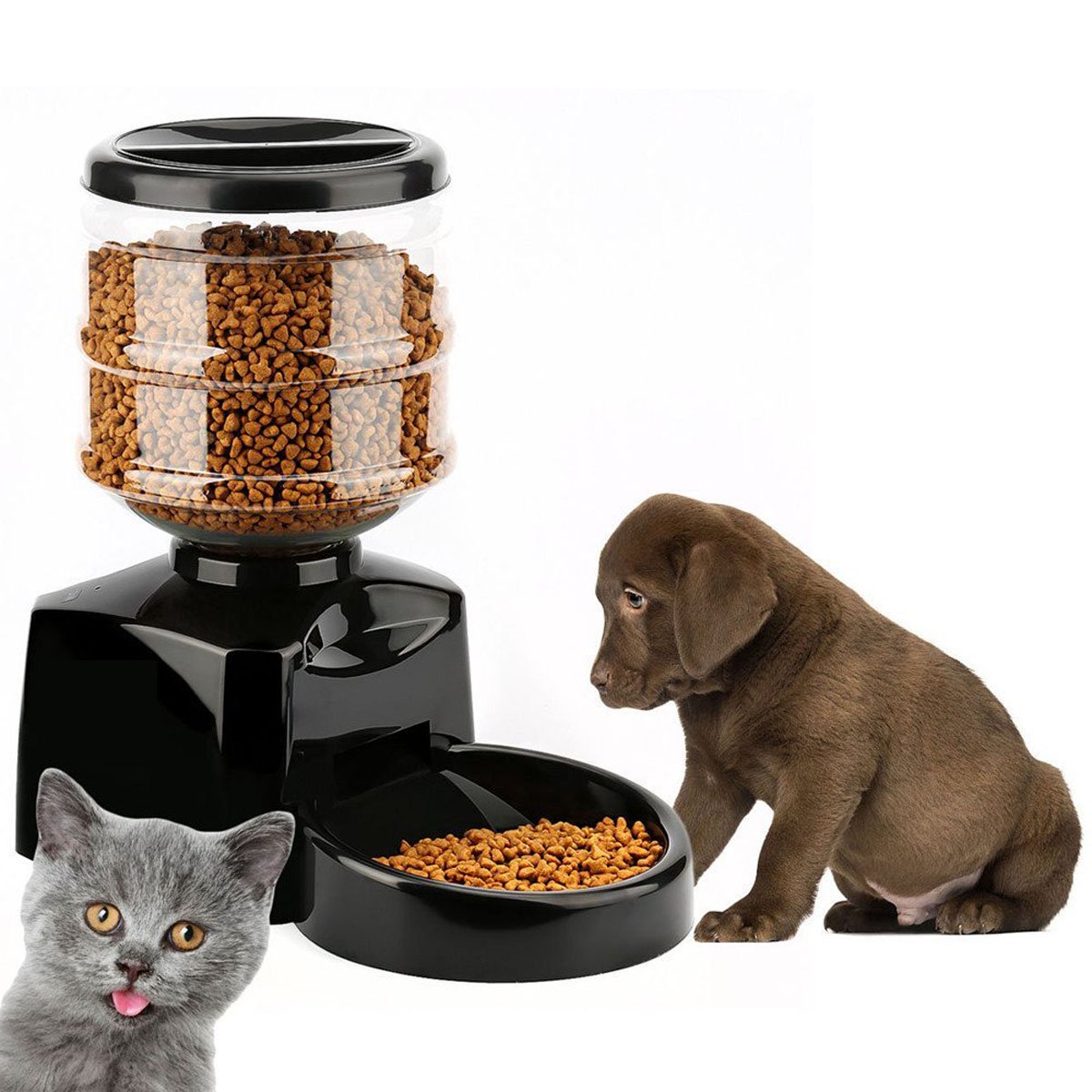 futtterautomat-fuer-hunde-katzen