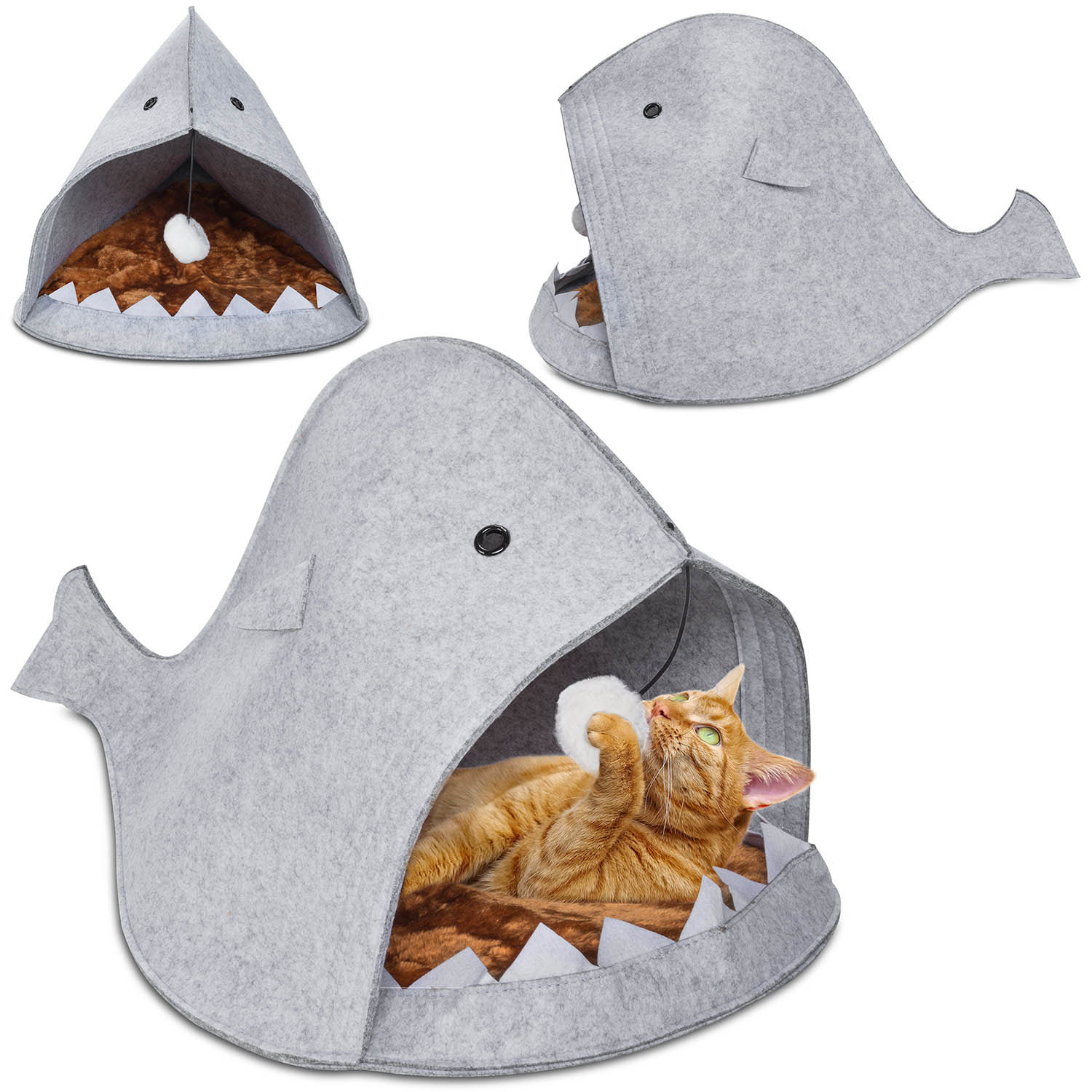 hai-katzen-hoehle