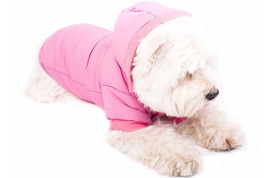 hunde-anorak-pink