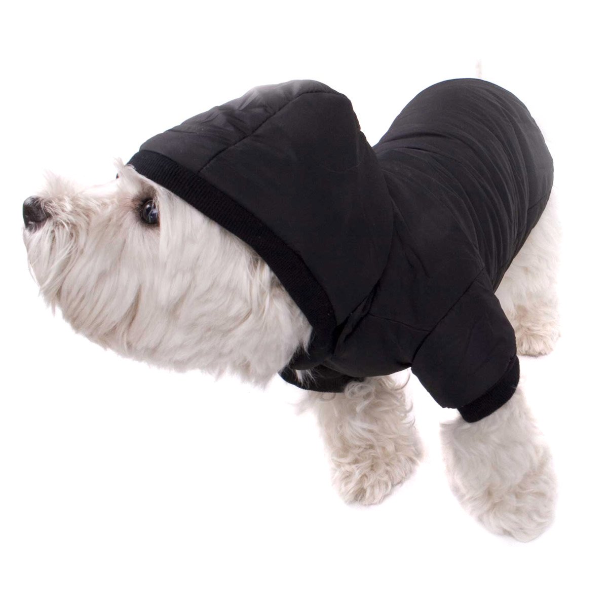 hundemantel5899d4680ef4c