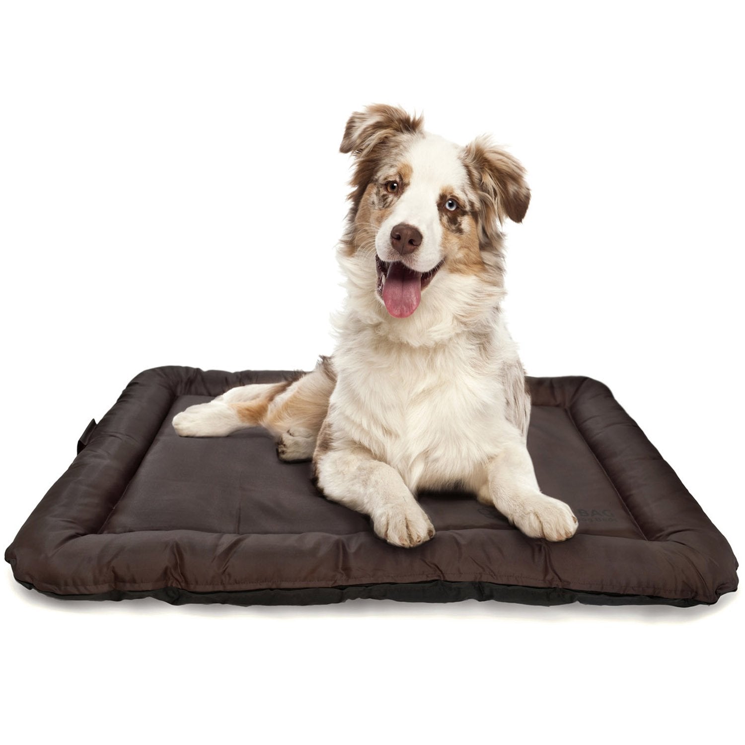 lazy-bag-hundekissen