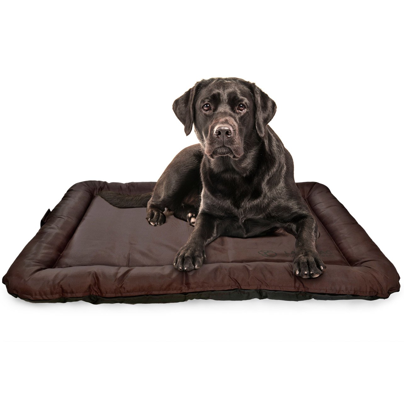 outdoor-hundekissen
