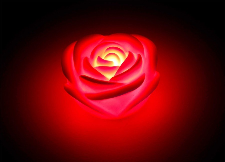 rote-rose-mit-licht