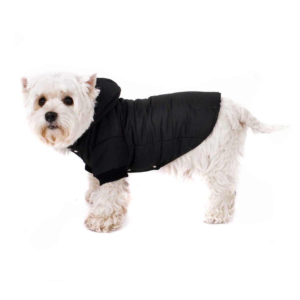 schwarze-hundejacke