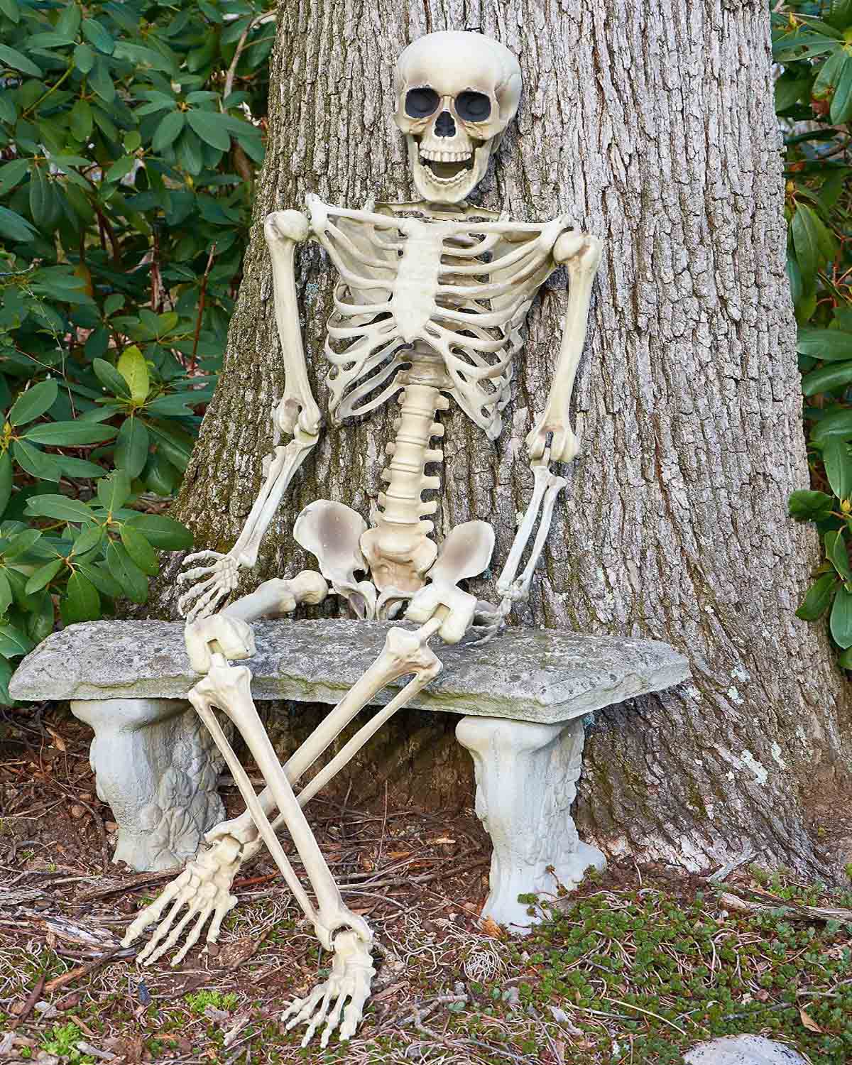 Grusel Pur: 160cm Halloween Skelett beweglich Anatomie Figur
