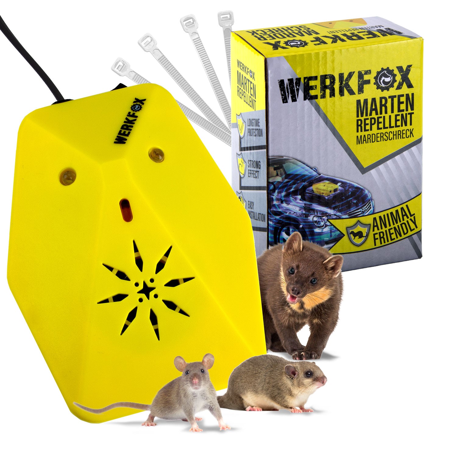 1lwBIsr9XnvAvQ