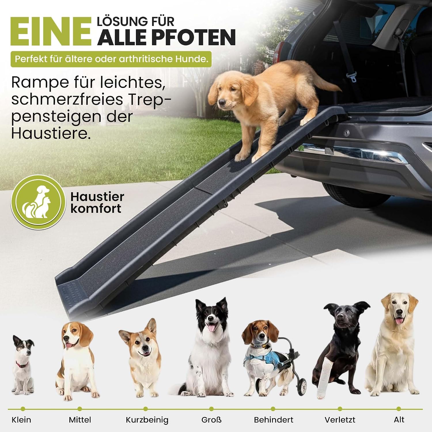 Hunderampe klappbar – Faltbare Auto-Einstiegshilfe für Hunde (90kg)
