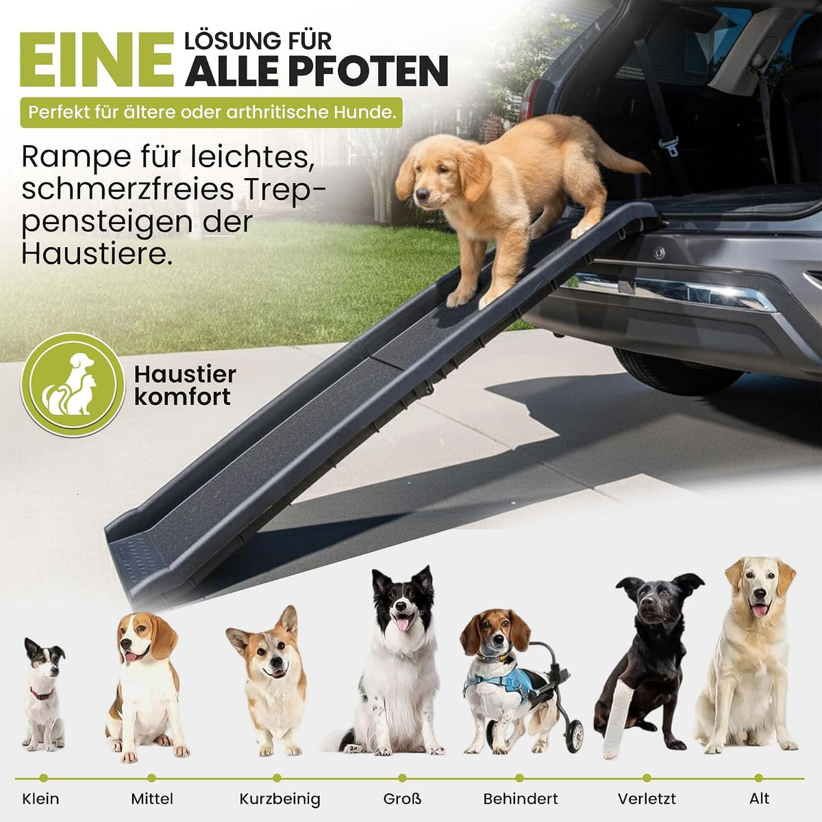 Hunderampe Premium Produktansicht 2