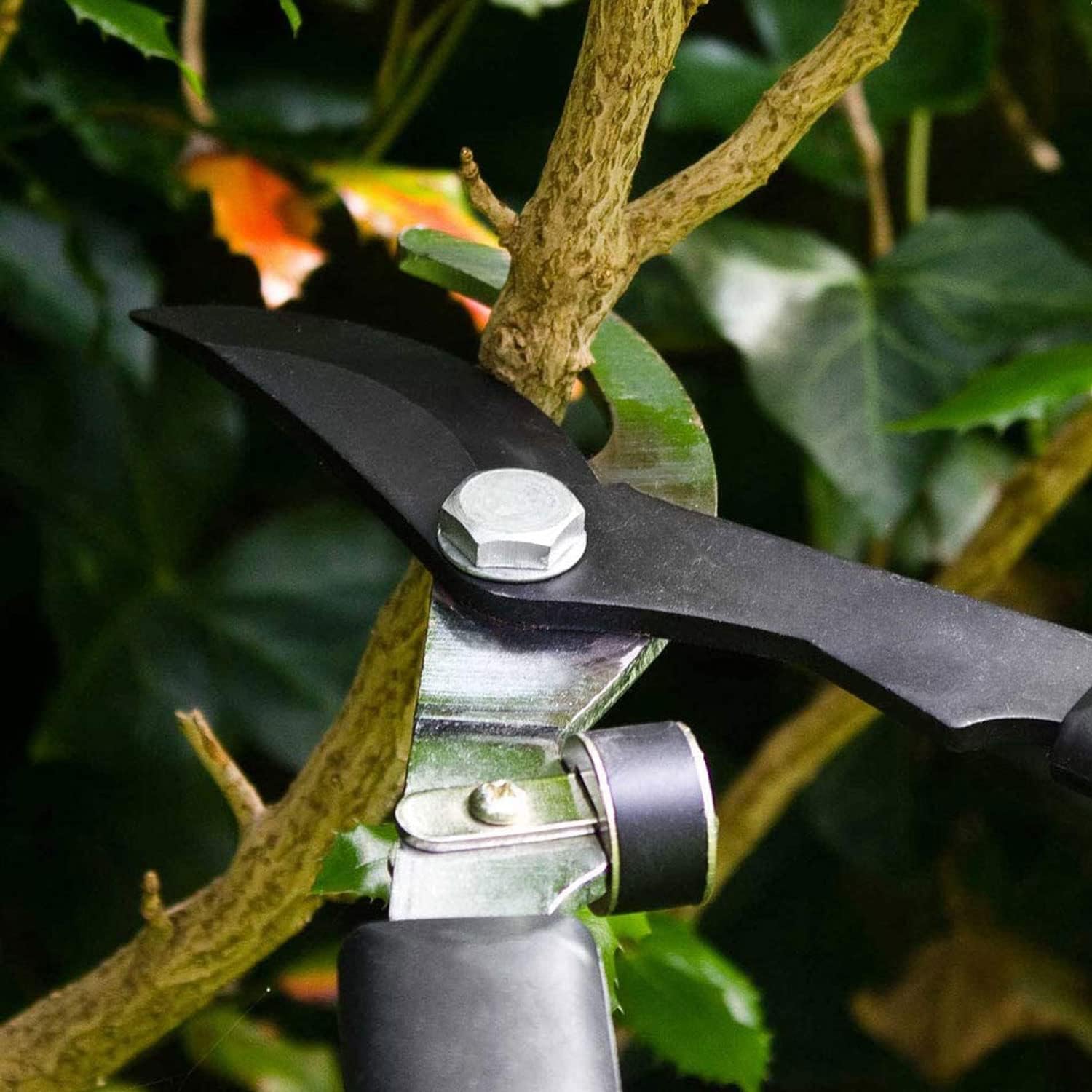 Teleskop-Astschere - Professionelle Baumschere bis 95 cm