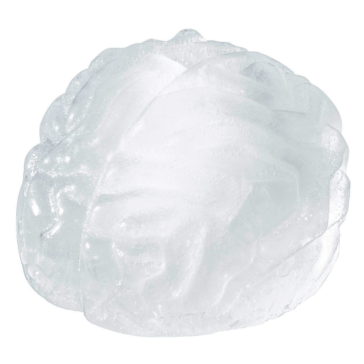 Brain-Gehirn-Eiswuerfel