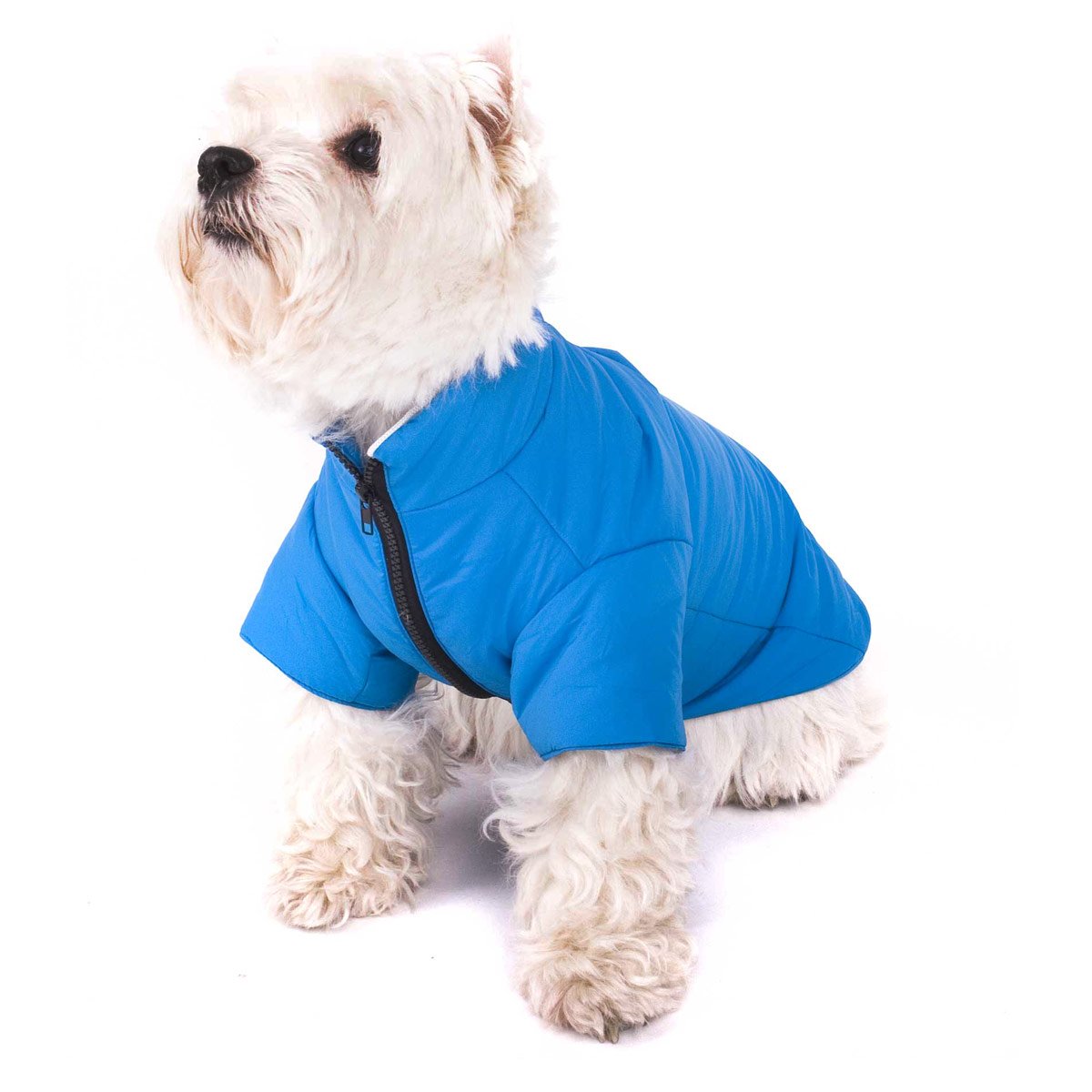 HundejackevvzvVoVSvA0OD