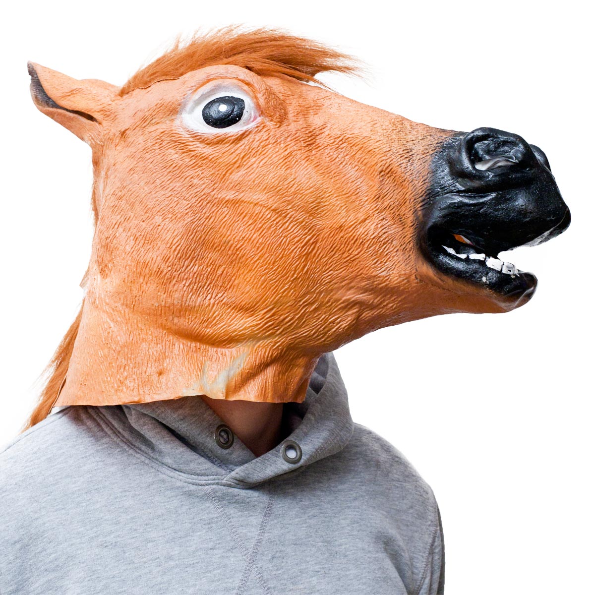 Karneval-Pferde-Maske