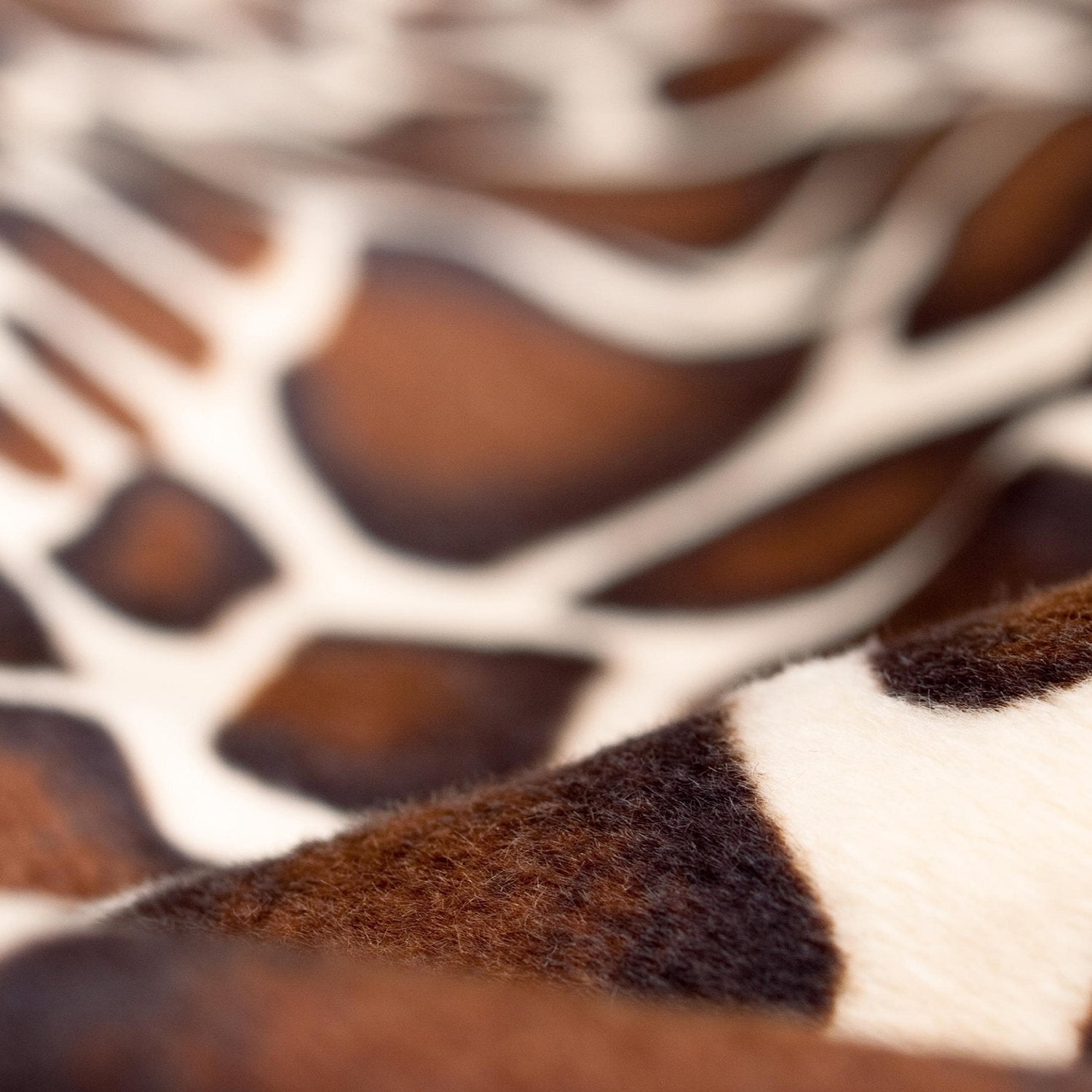 Sitzkissen-Safari-Giraffe