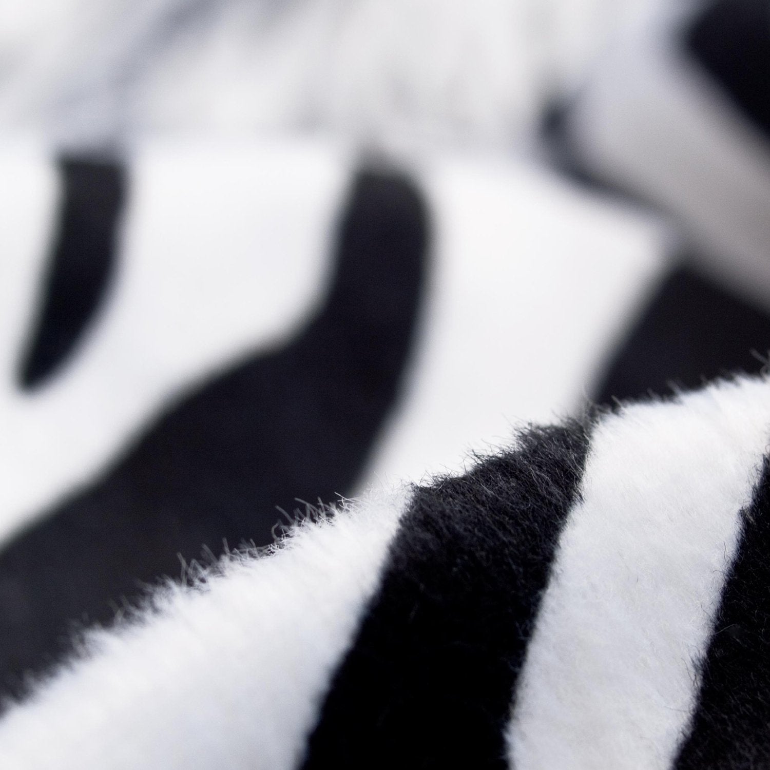 Sitzkissen-Safari-Zebra