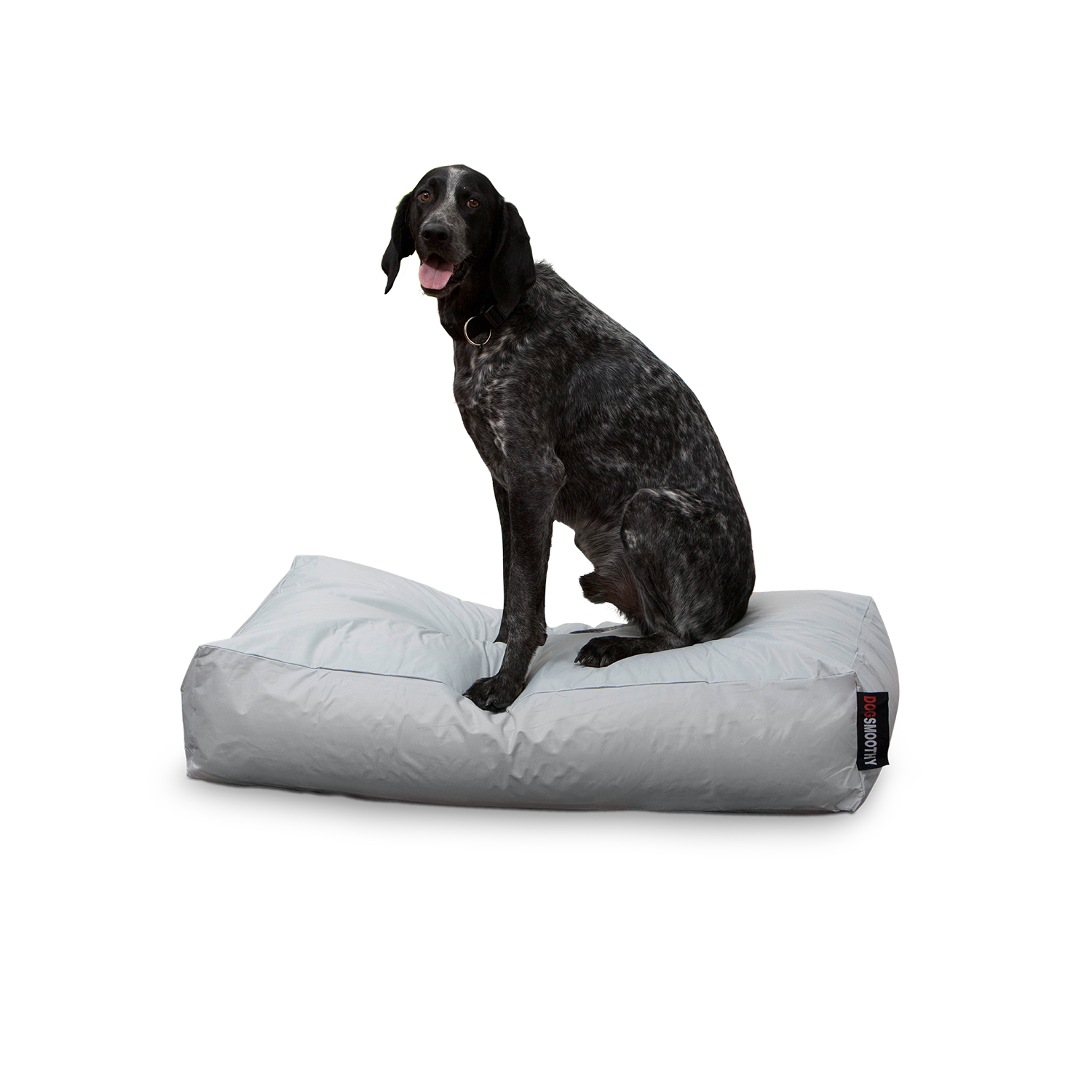 Smoothy-Dogbed-Classic-GraufM1BC06GEIo6f
