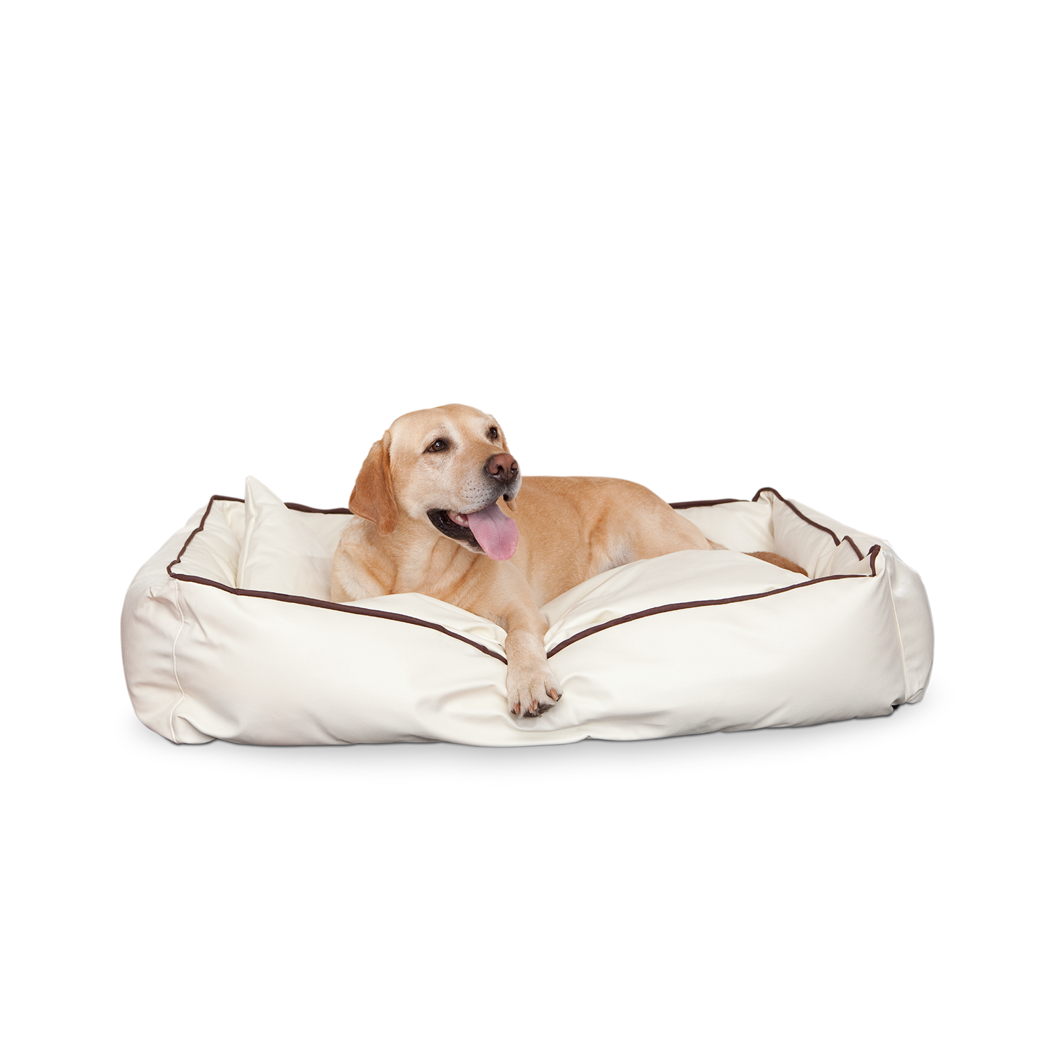 Smoothy-Dogbed-Leder-Beige0ksbY2c1EzDtR