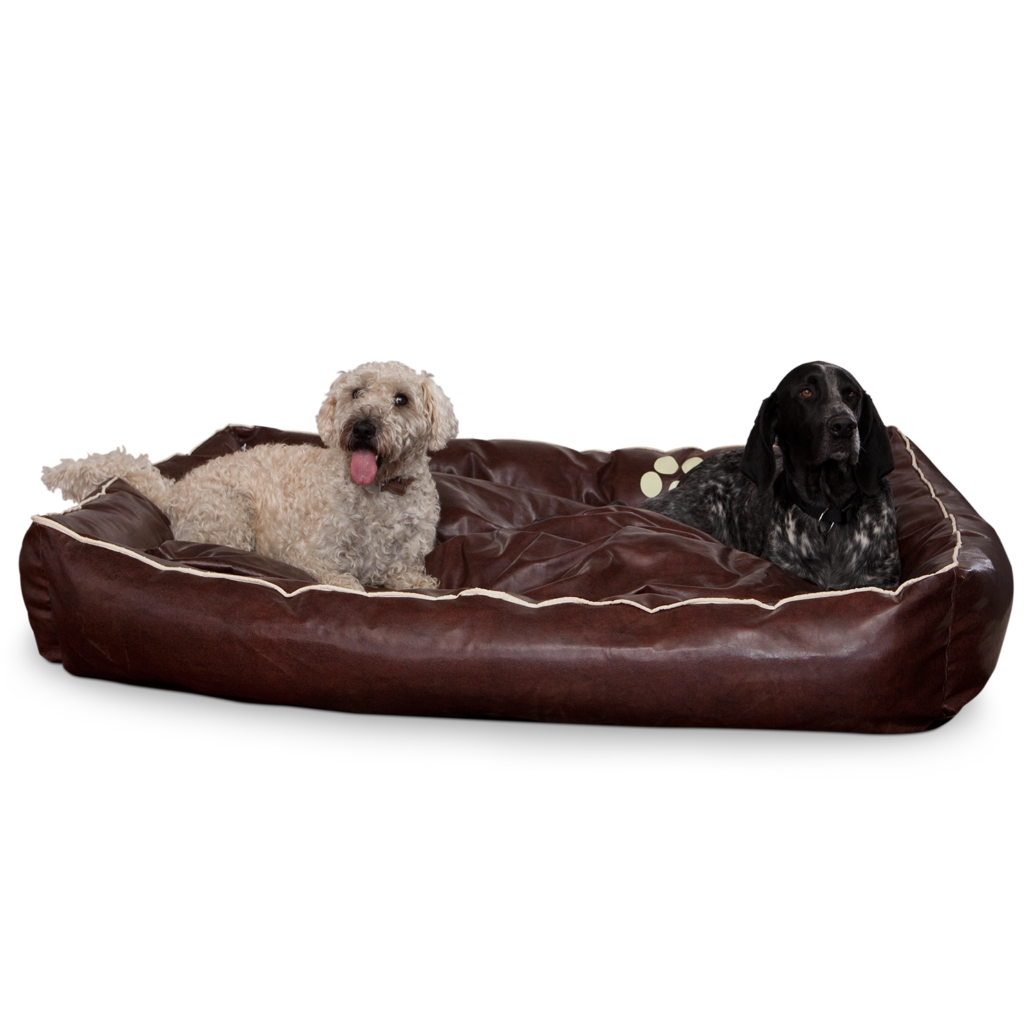 Smoothy-Dogbed-Leder-BrauncCSetP1EoFBKM
