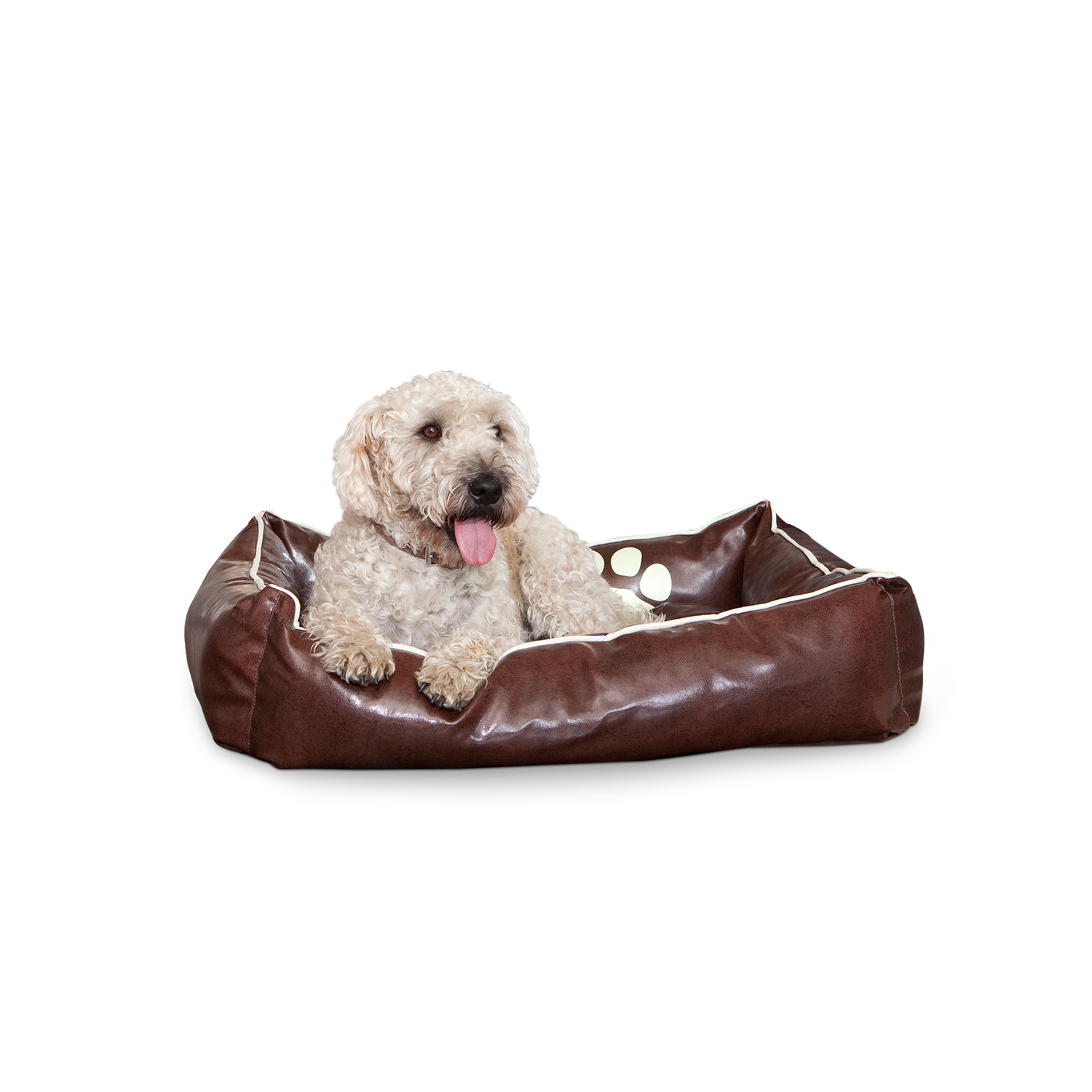 Smoothy-Dogbed-Leder-BraunihPK1sBQHfQJc