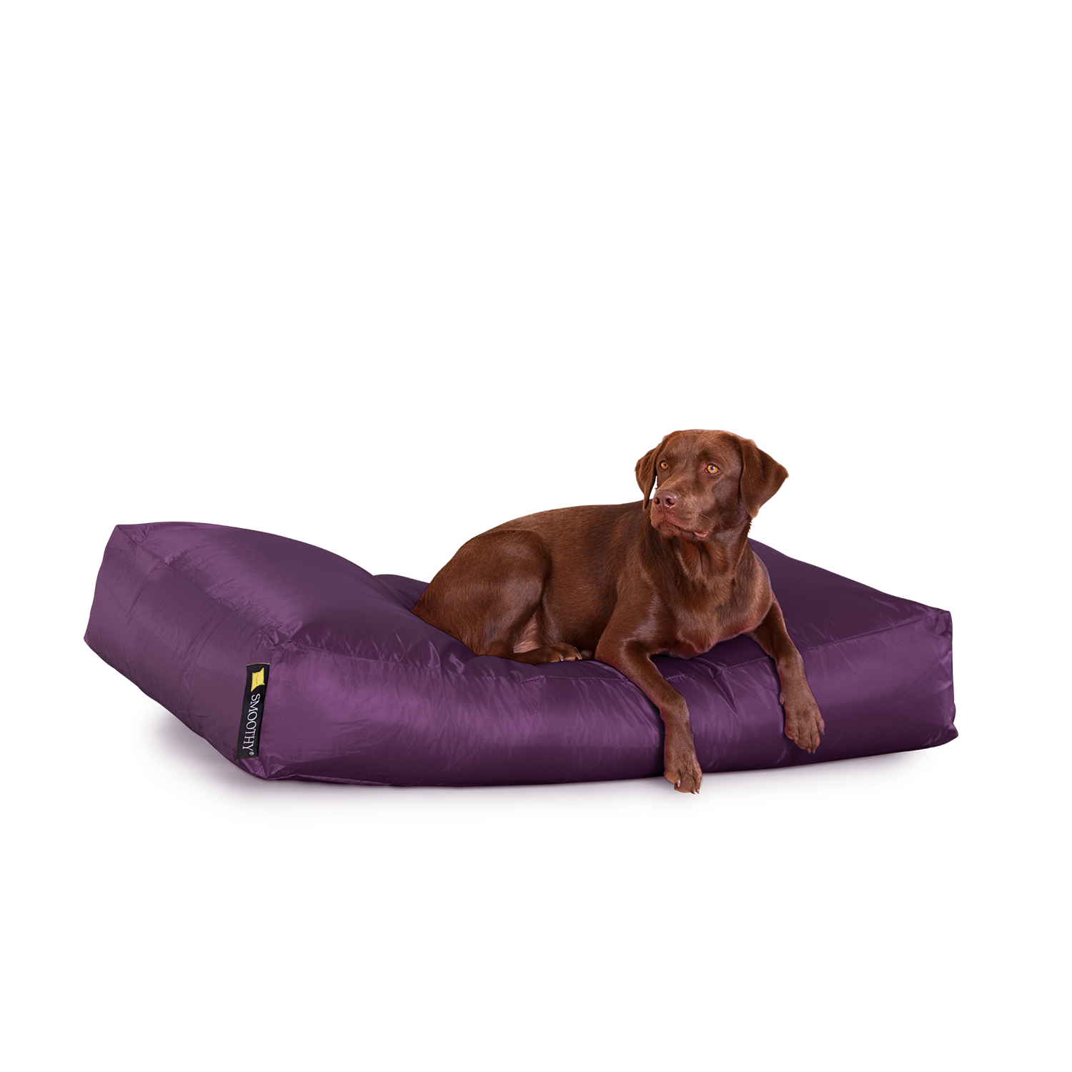 Smoothy-Dogbed-XXL-lila