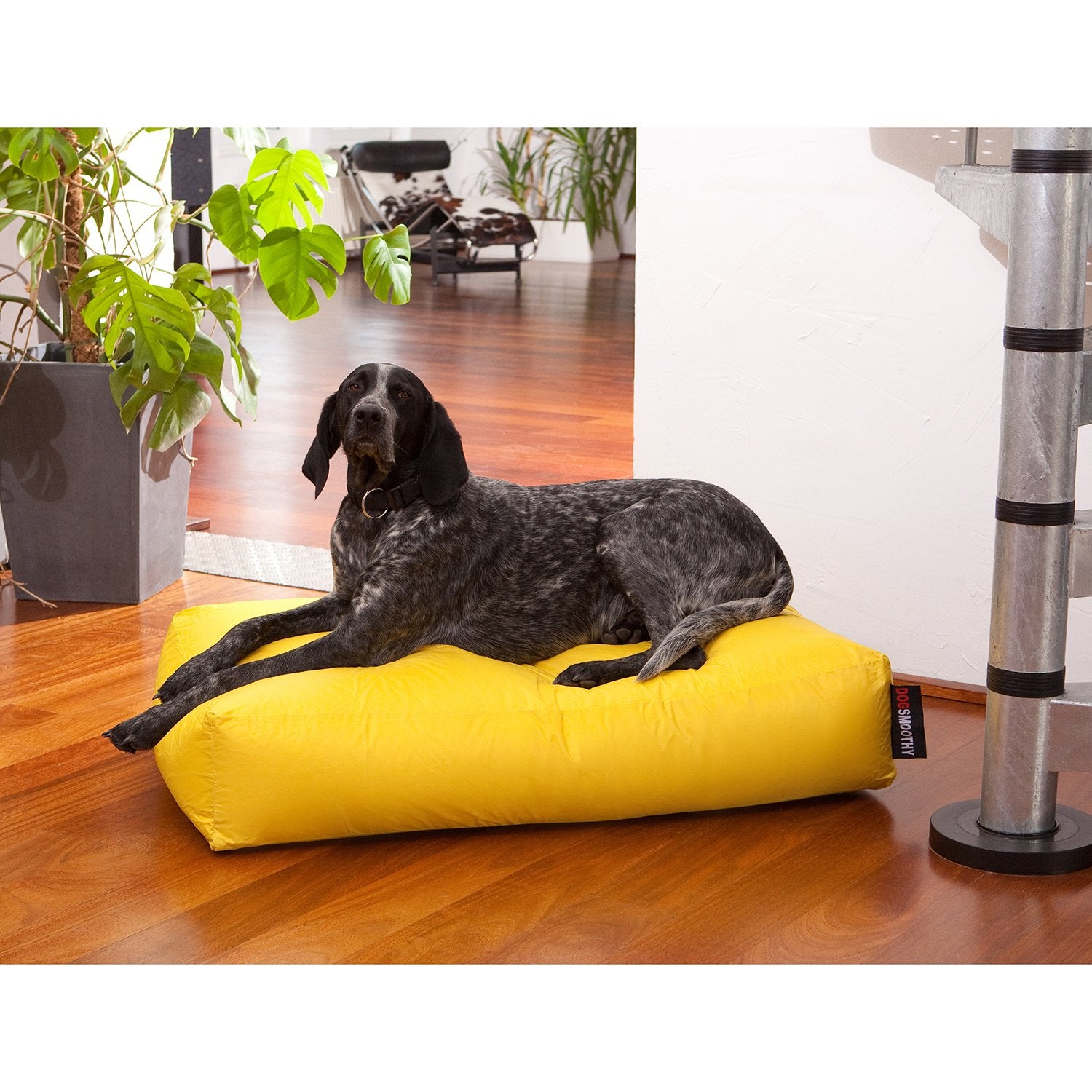 Smoothy-Hundekorb-Classic-Gelb