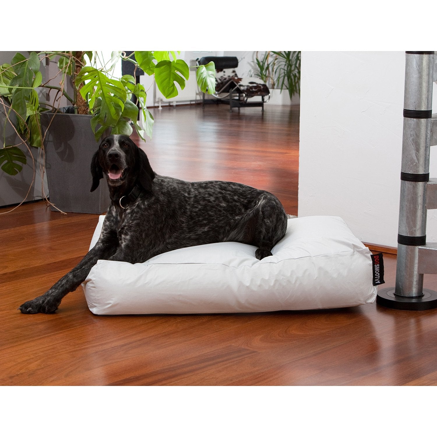 Smoothy-Hundekorb-Classic-Weiss