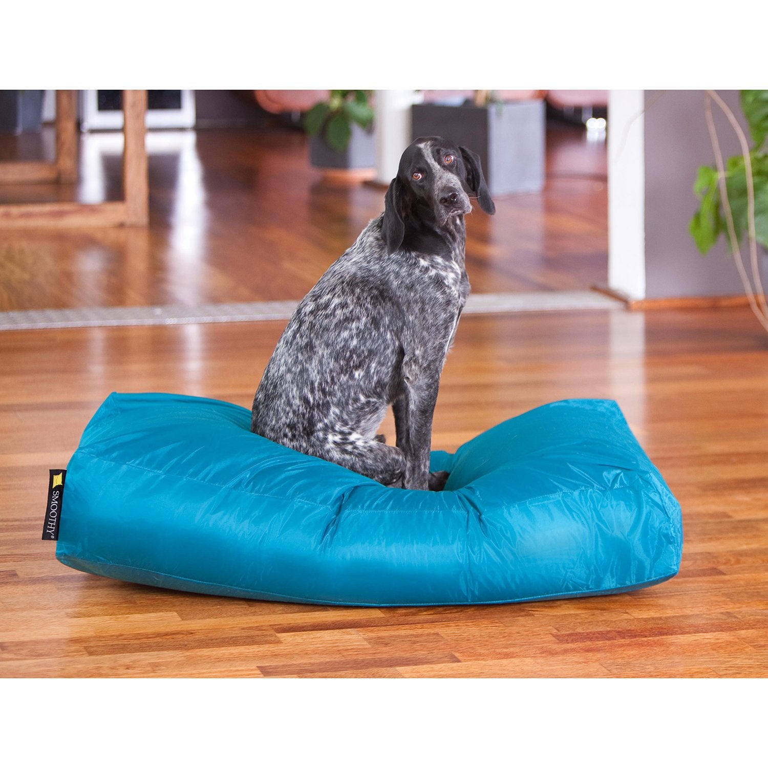 Smoothy-Hundekorb-XXL-blau